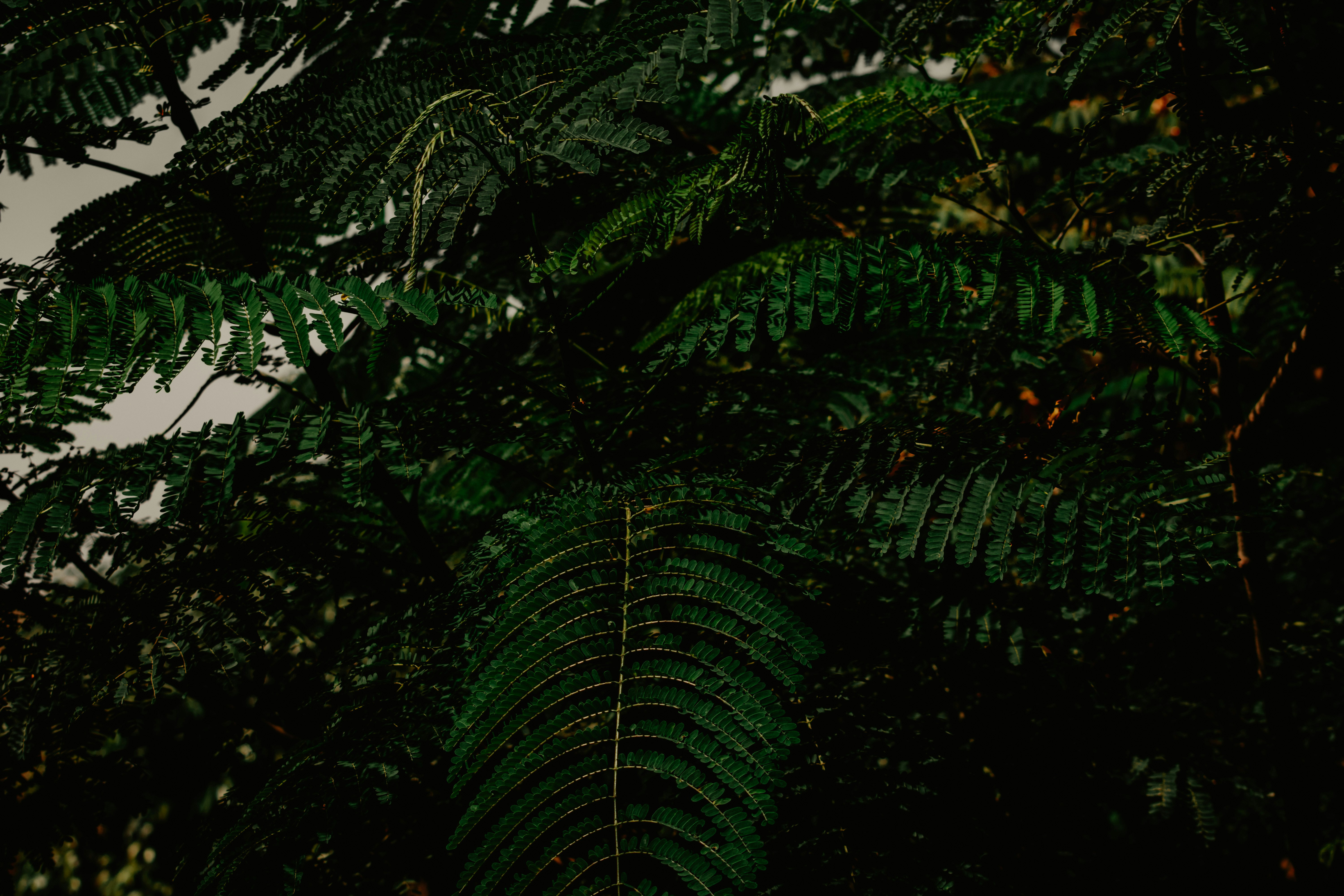 Photo by utunzajiwamazingira