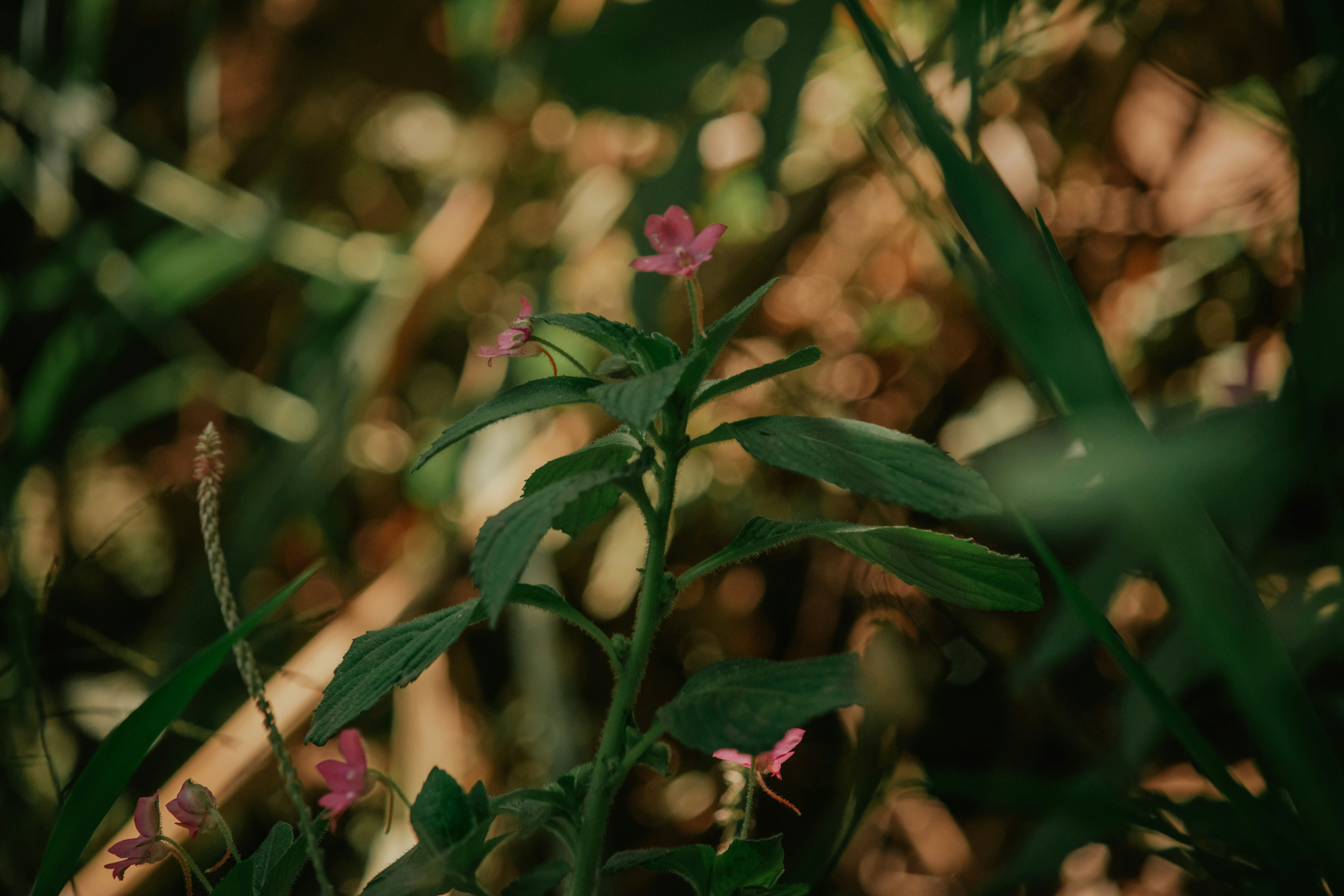 Photo by utunzajiwamazingira