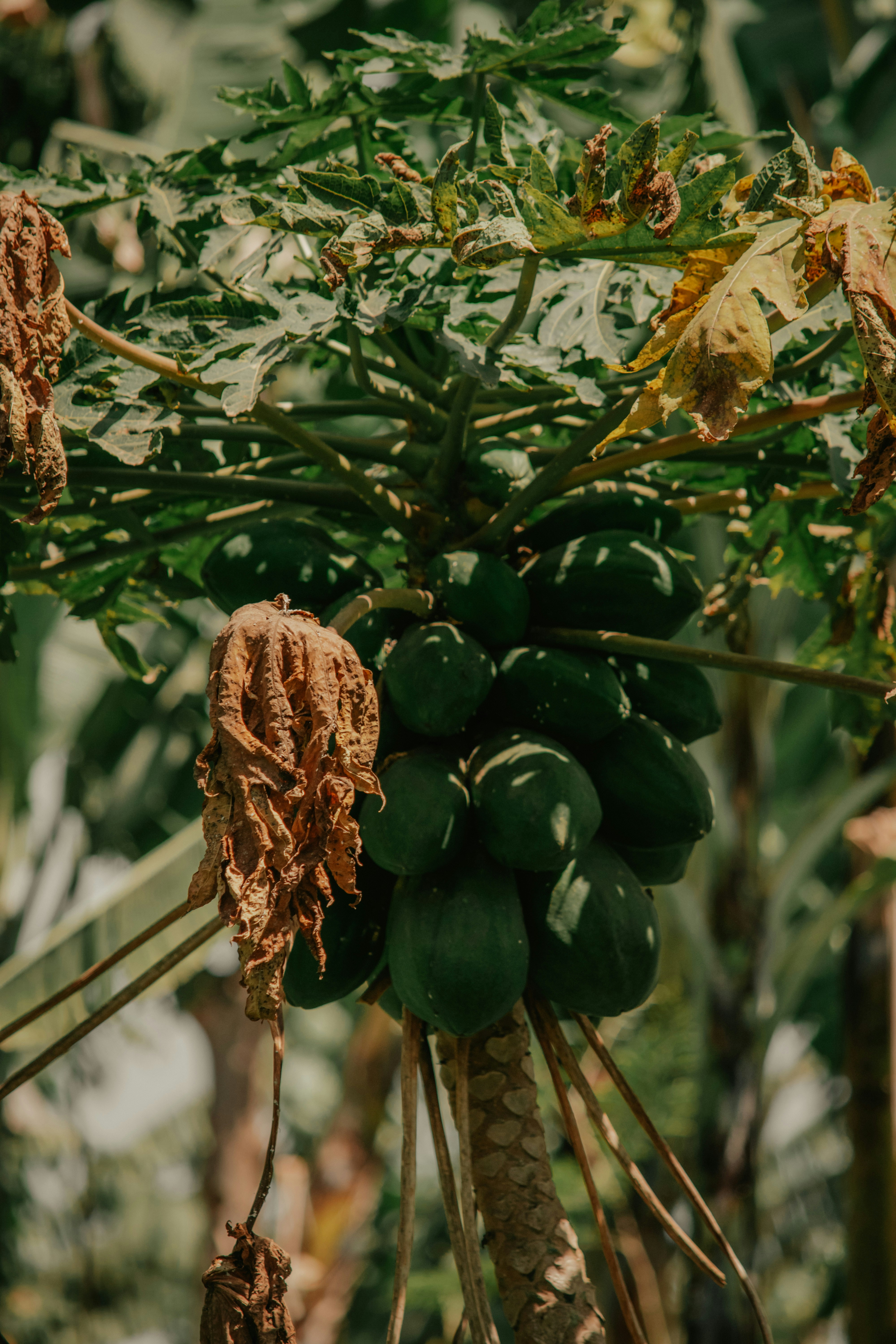 Photo by utunzajiwamazingira