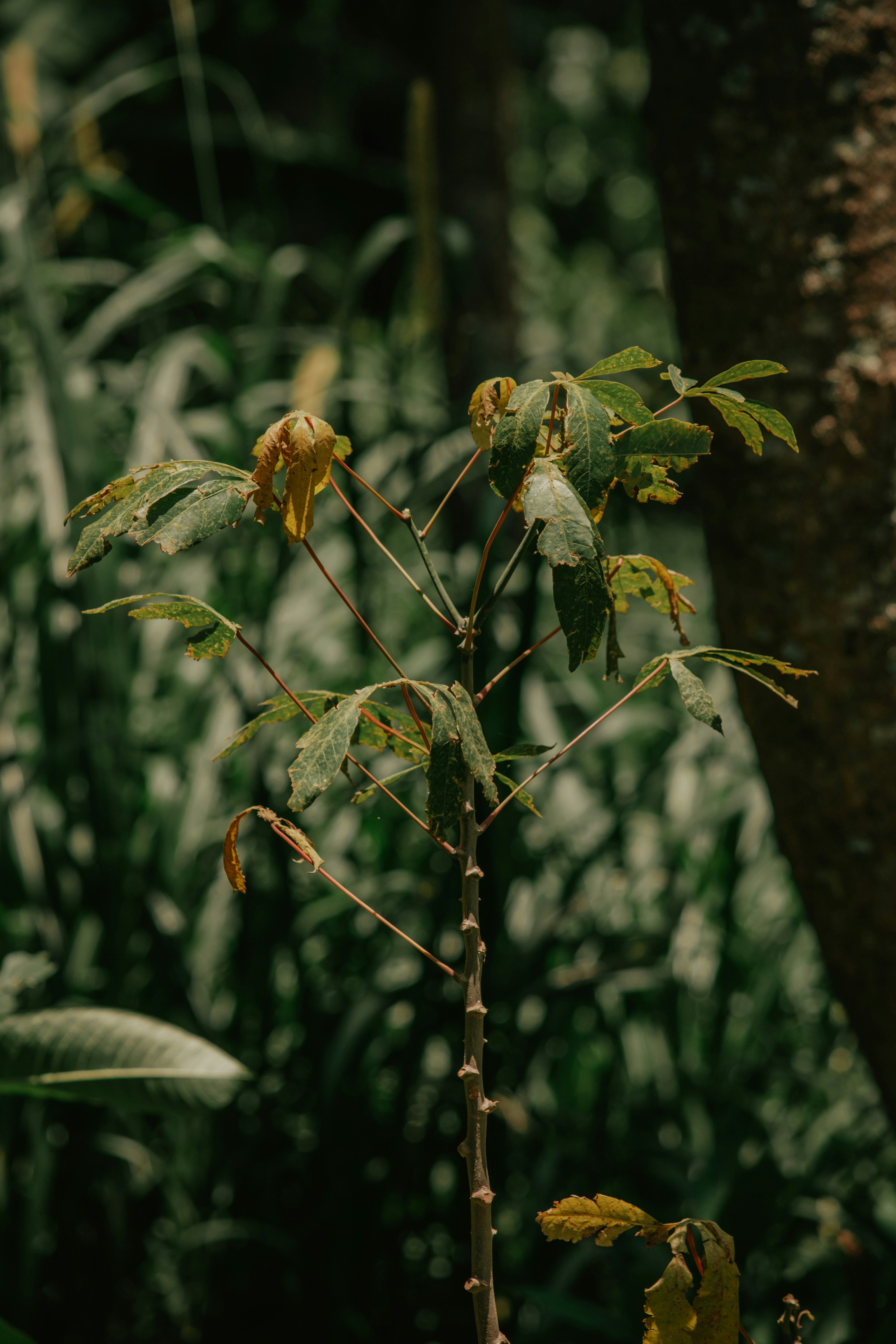 Photo by utunzajiwamazingira