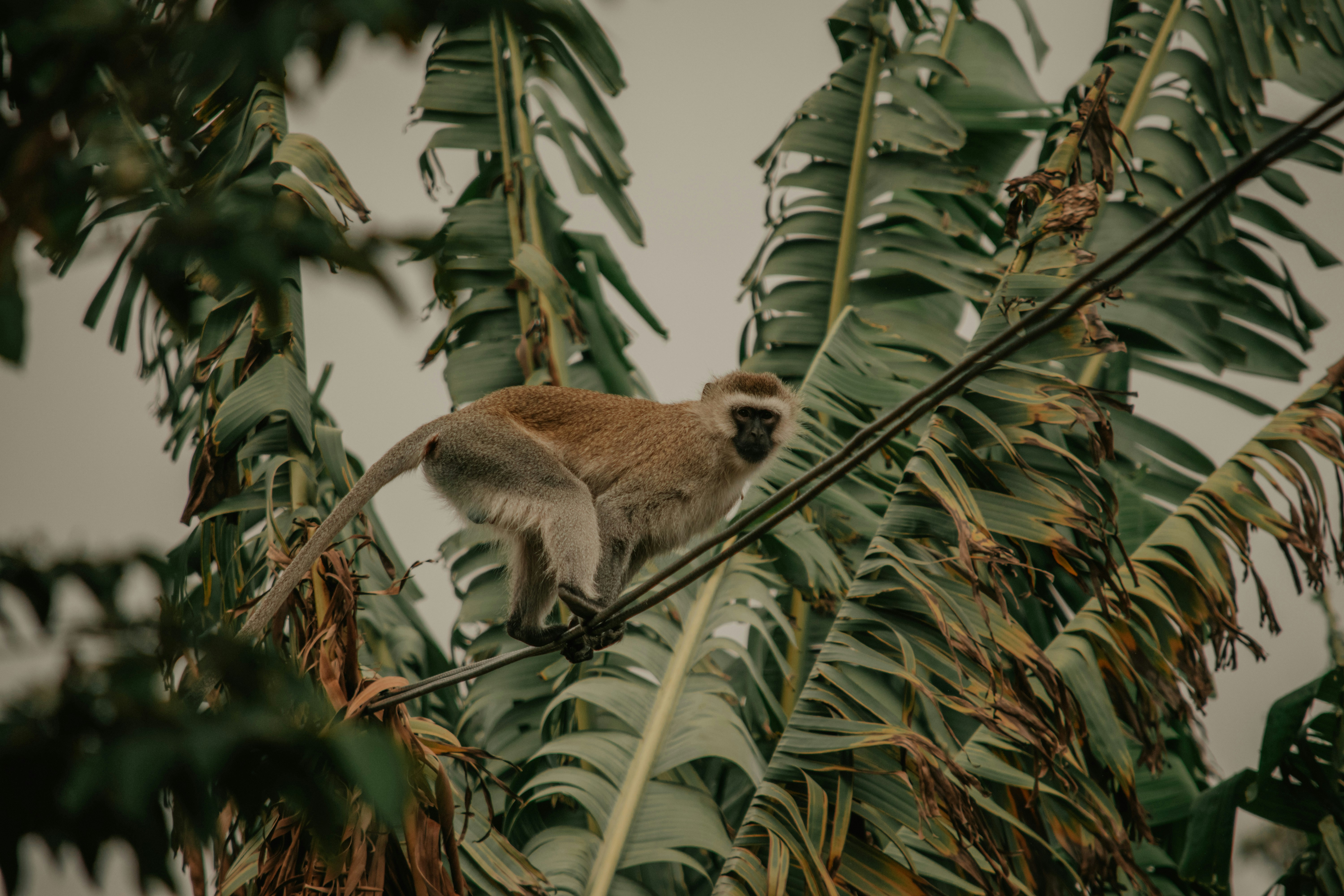 Photo by utunzajiwamazingira