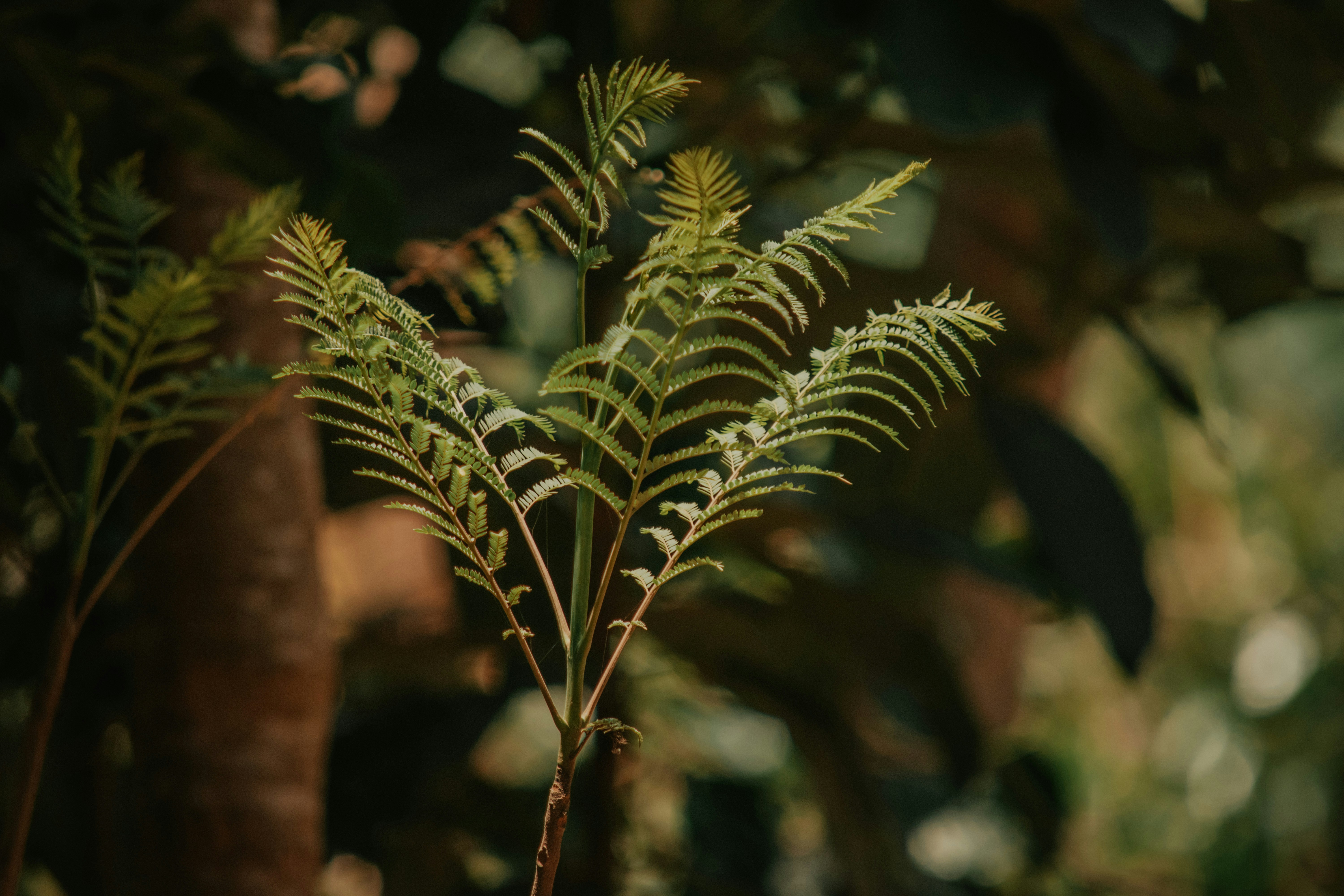 Photo by utunzajiwamazingira