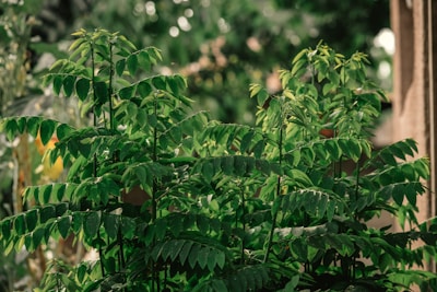 Researchers studying plants in a lush environment.