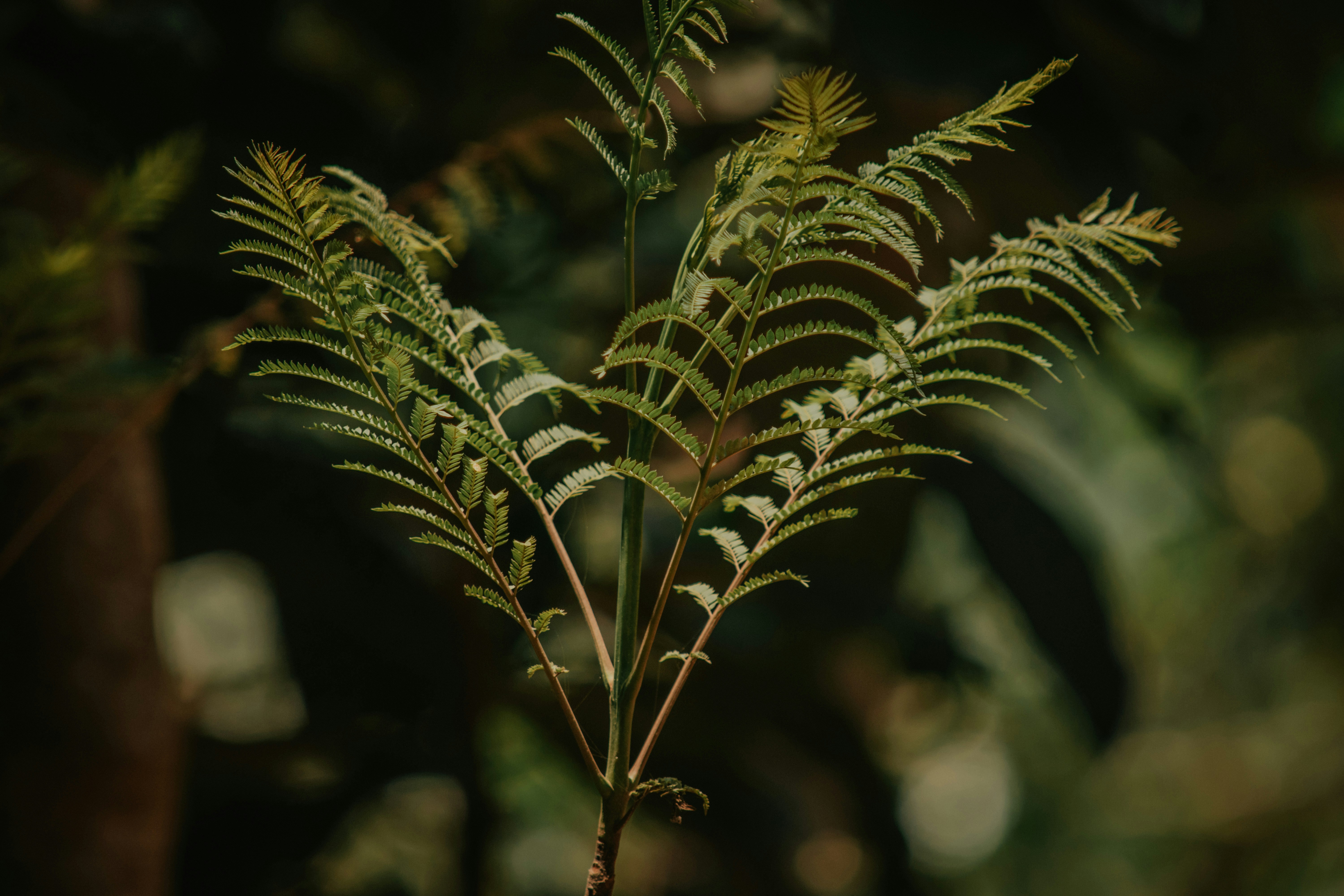 Photo by utunzajiwamazingira