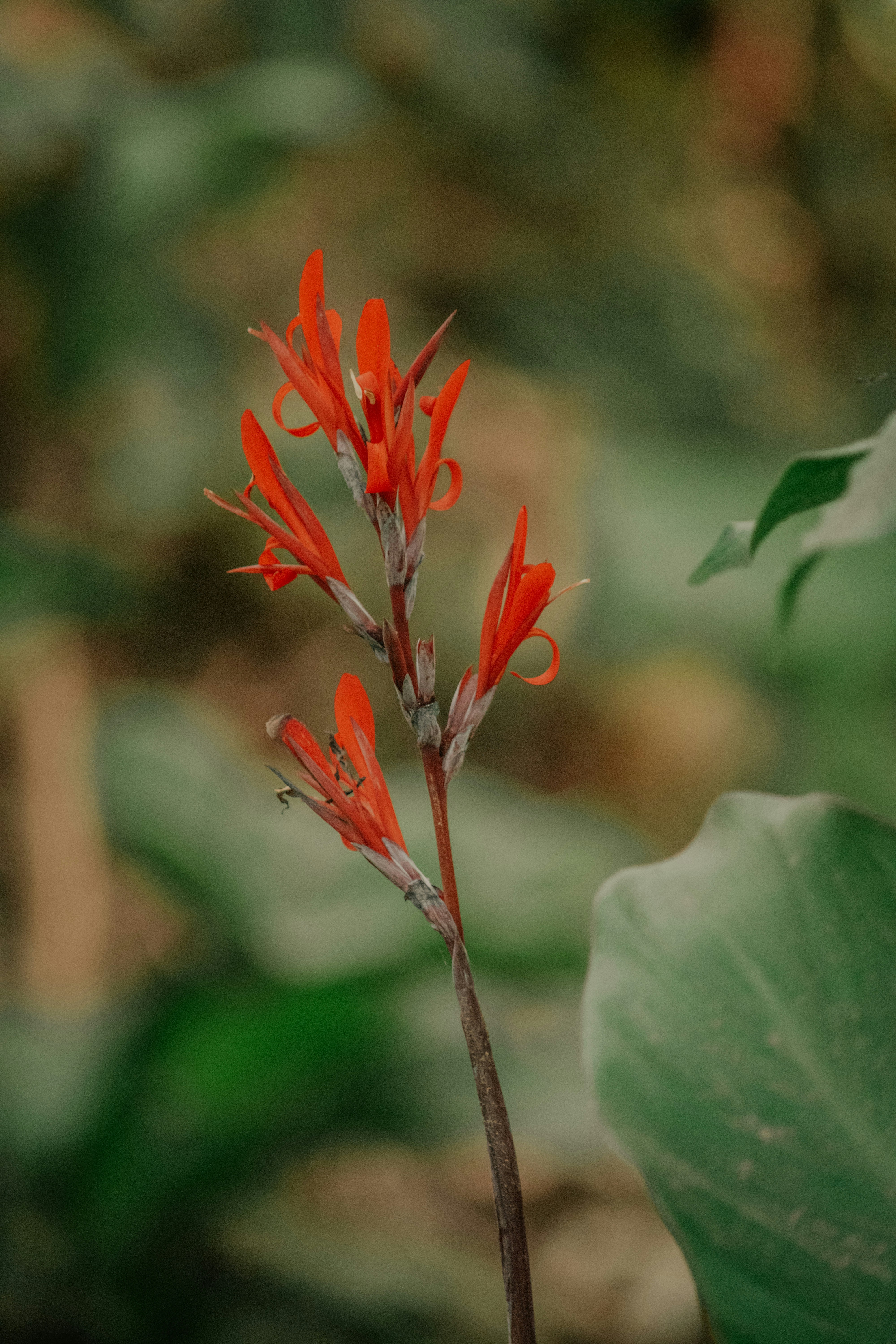 Photo by utunzajiwamazingira