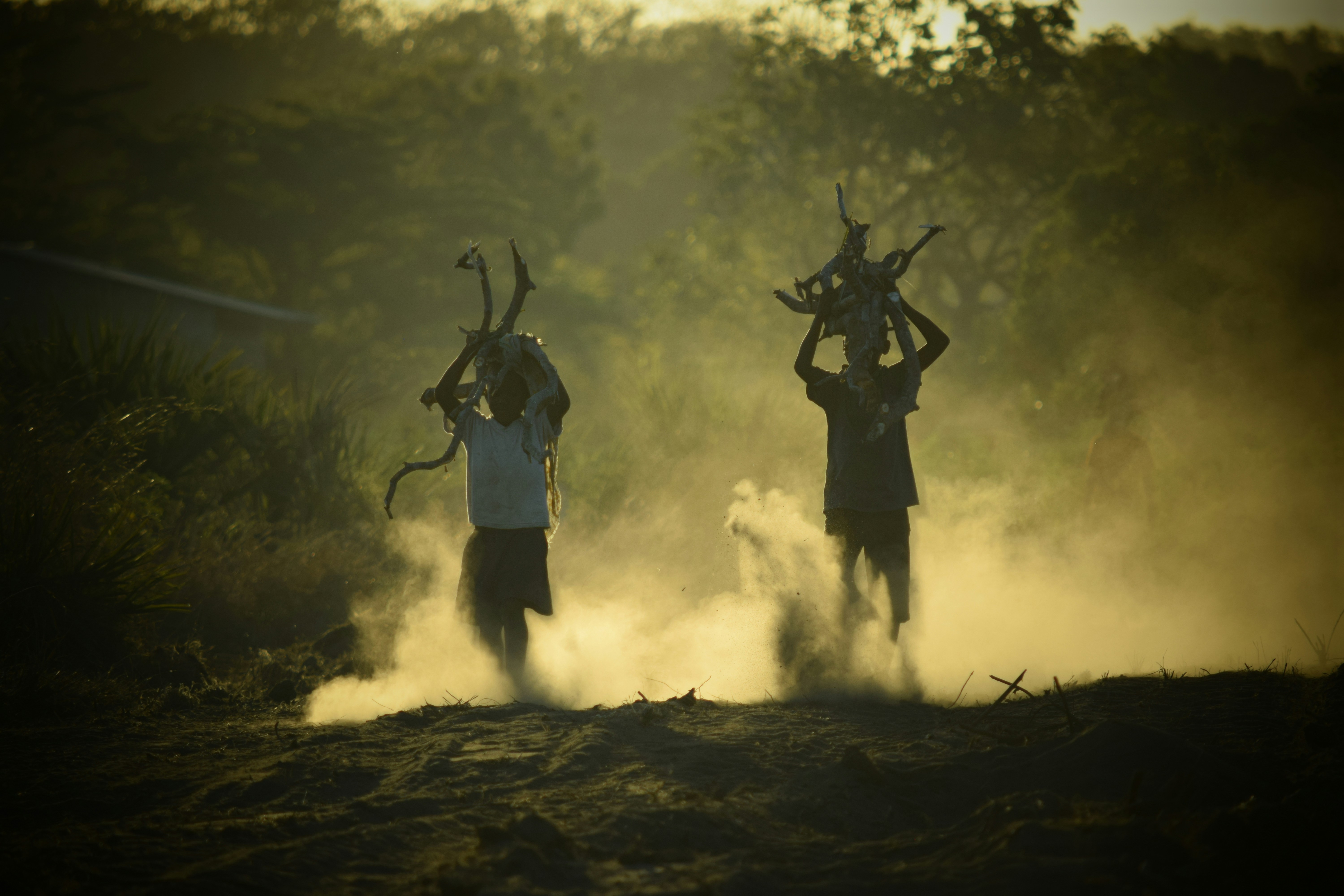 Photo by utunzajiwamazingira