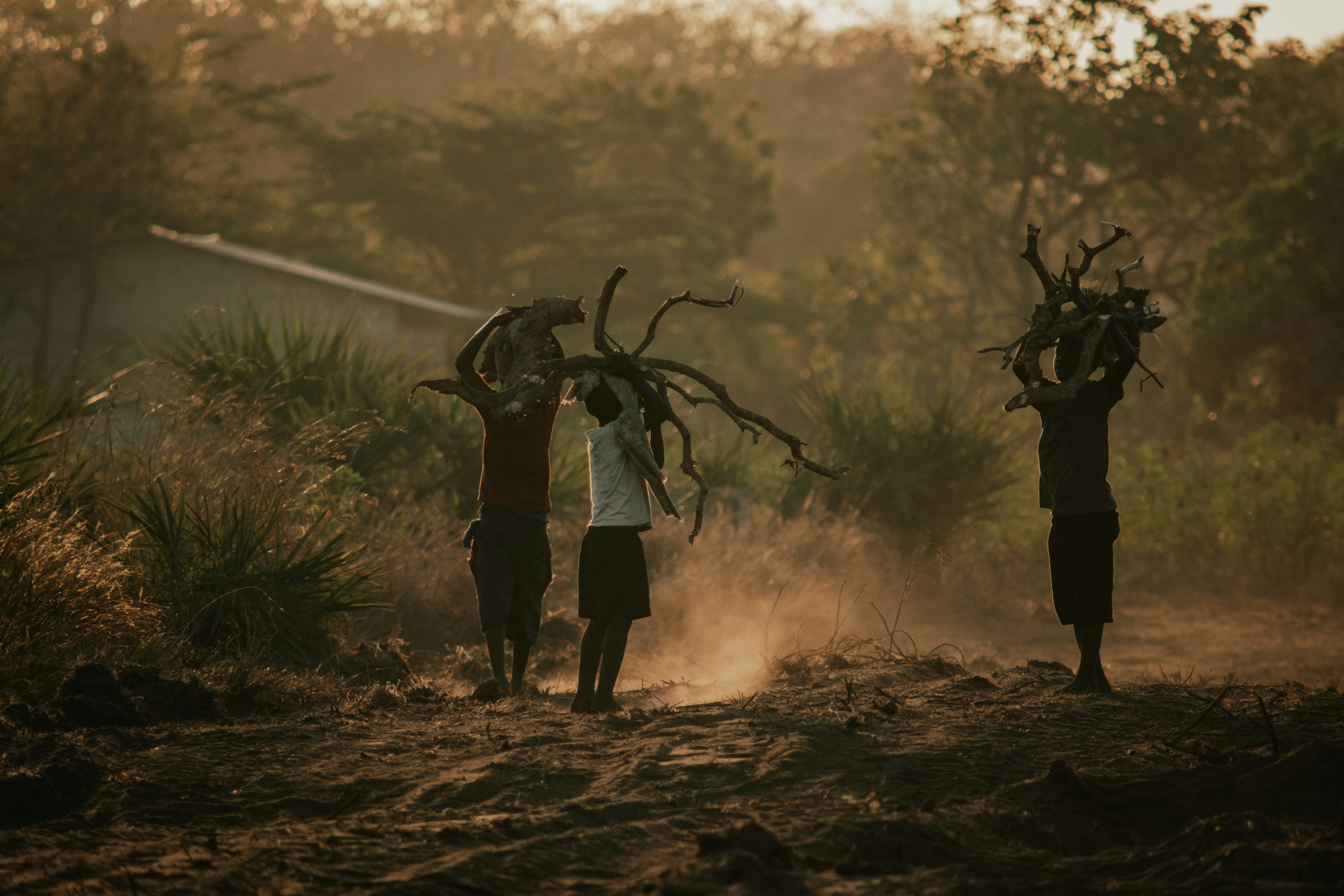 Photo by utunzajiwamazingira