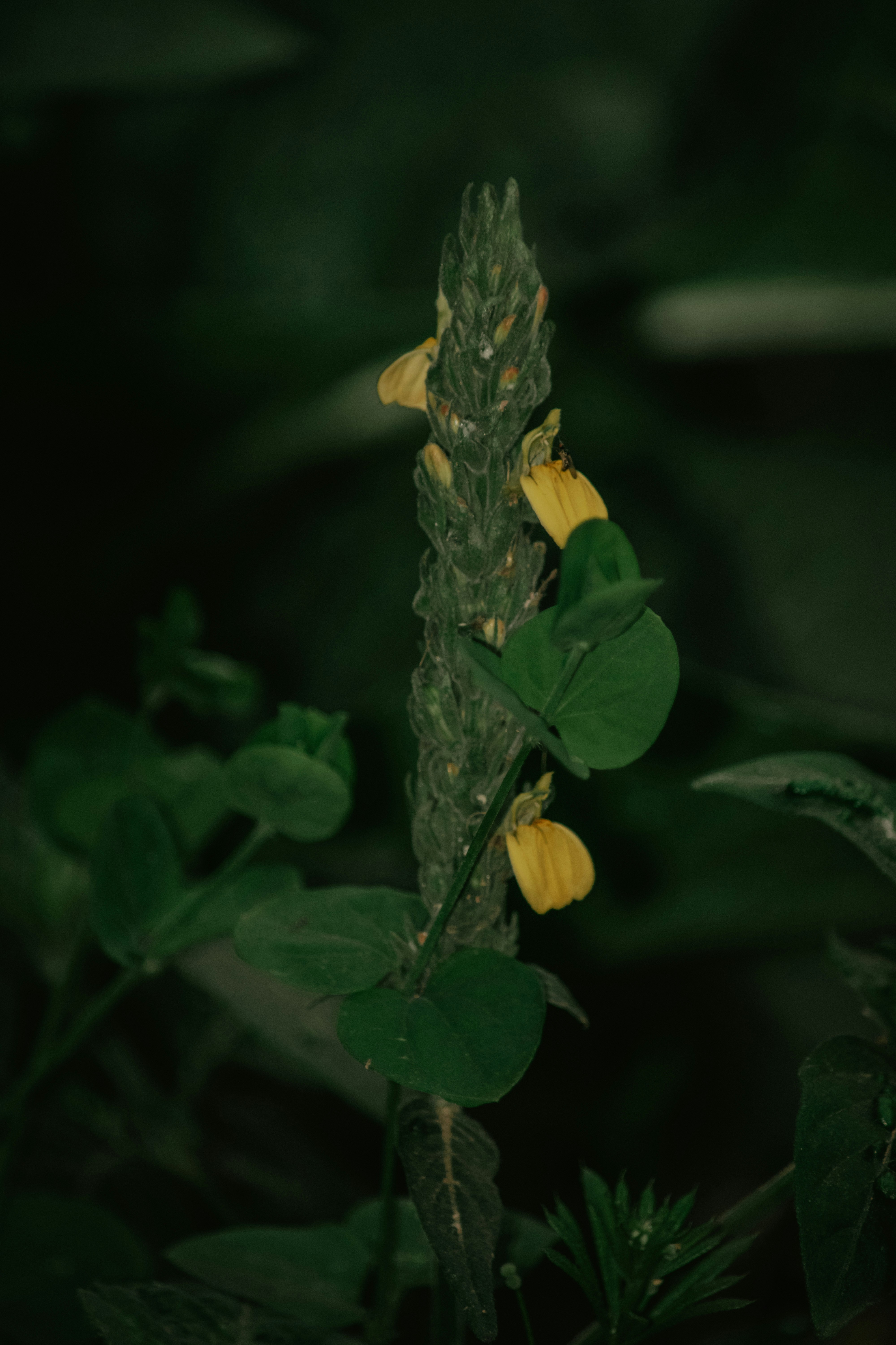 Photo by utunzajiwamazingira