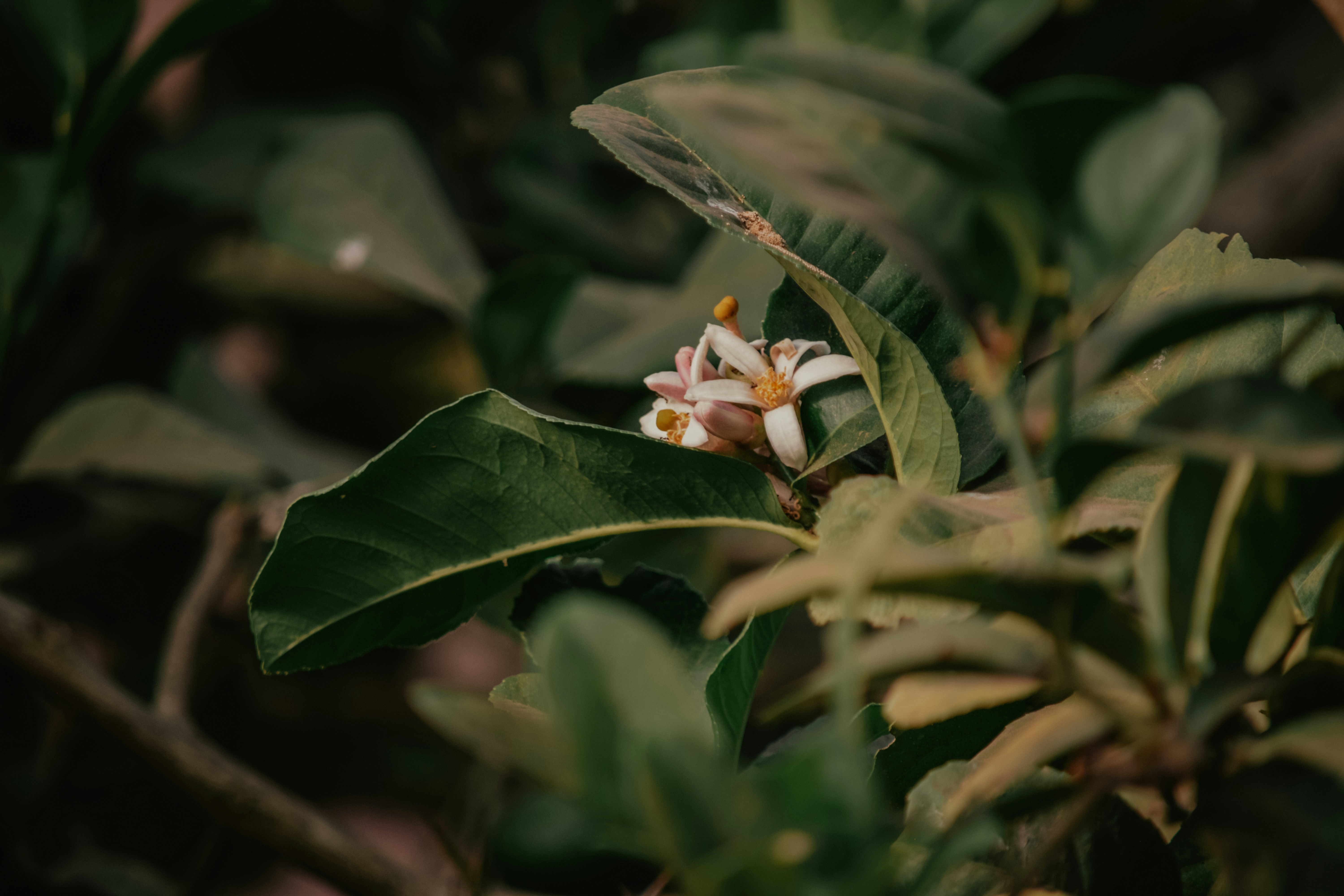 Photo by utunzajiwamazingira