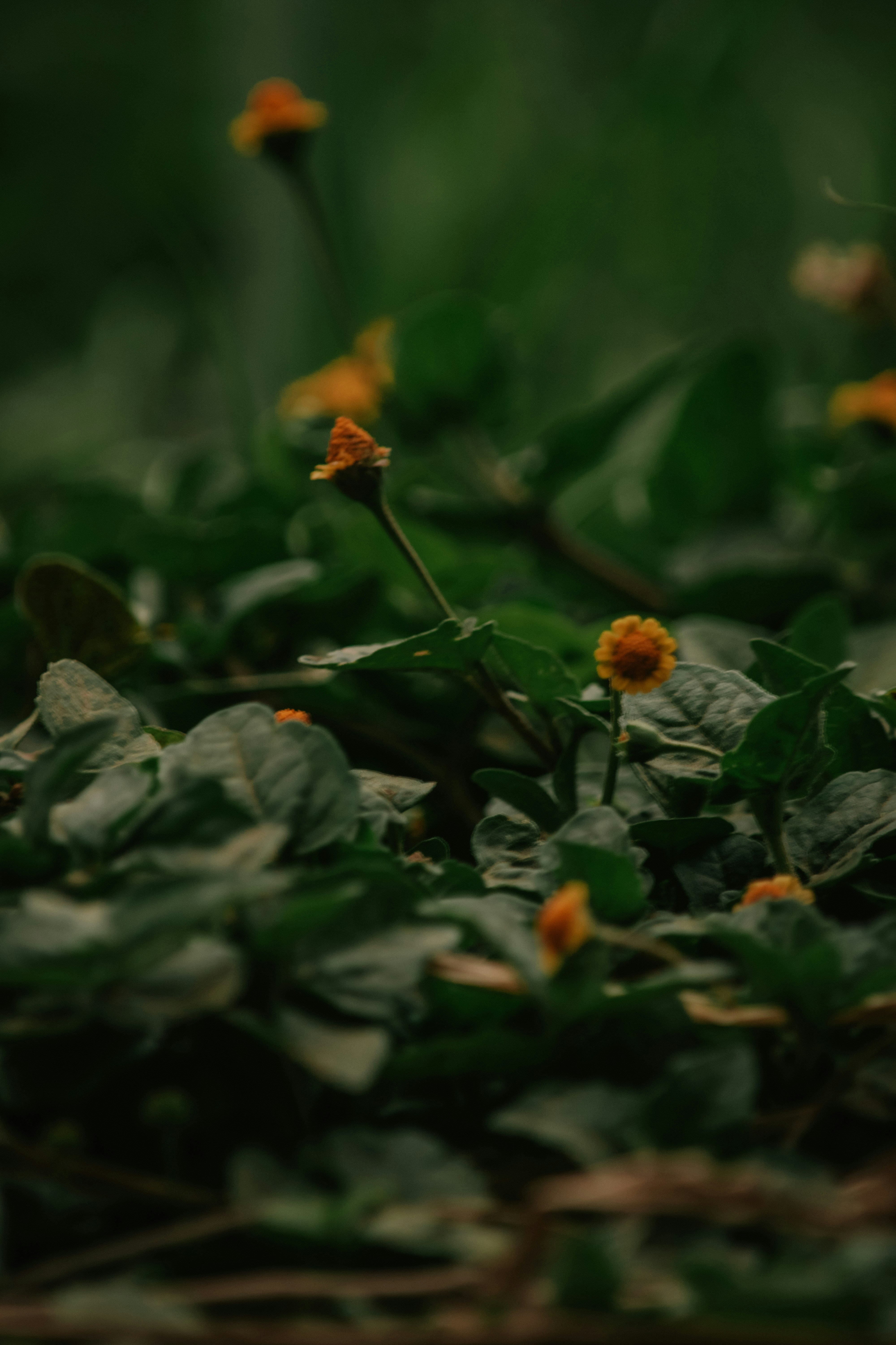 Photo by utunzajiwamazingira