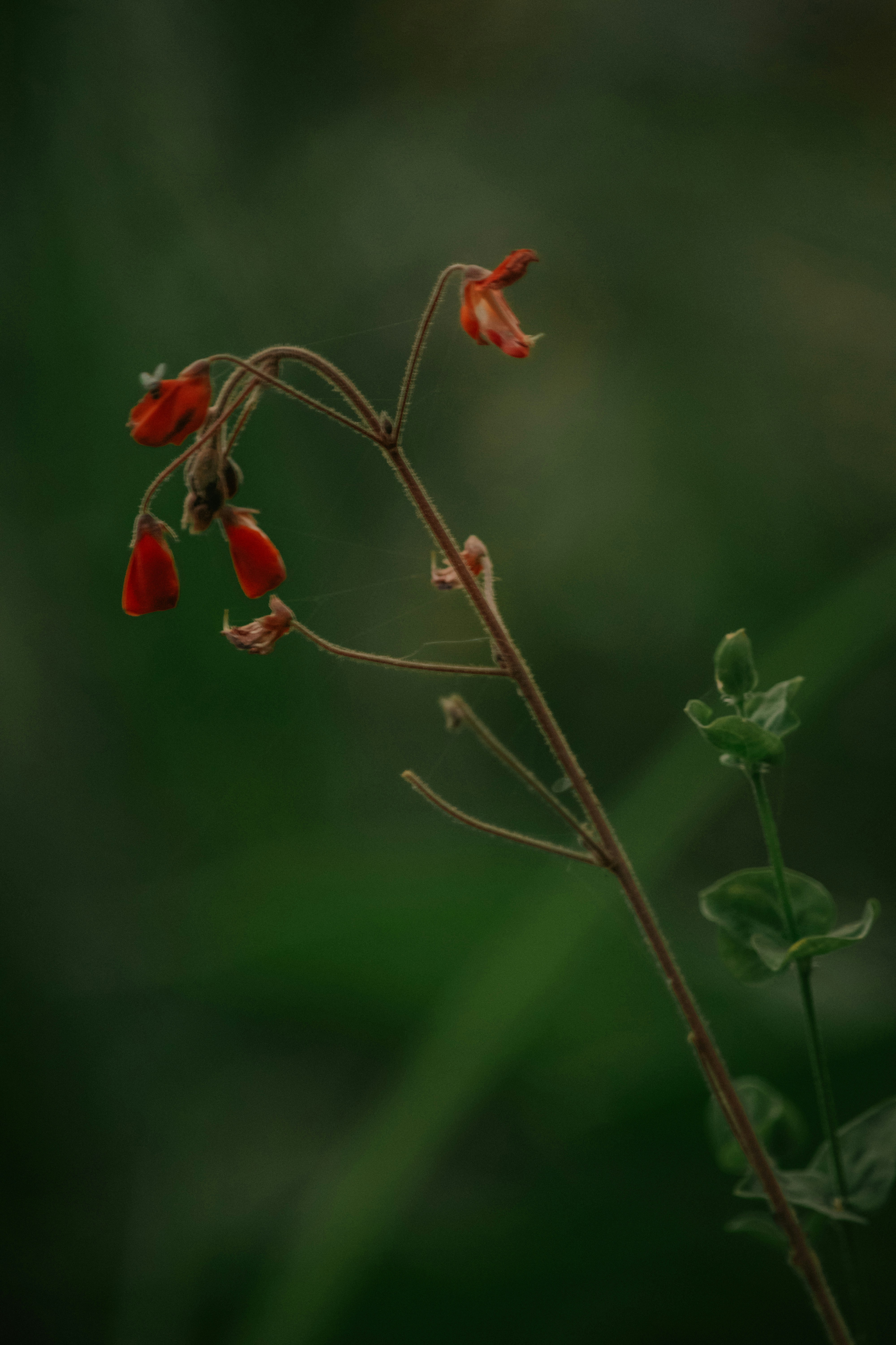 Photo by utunzajiwamazingira