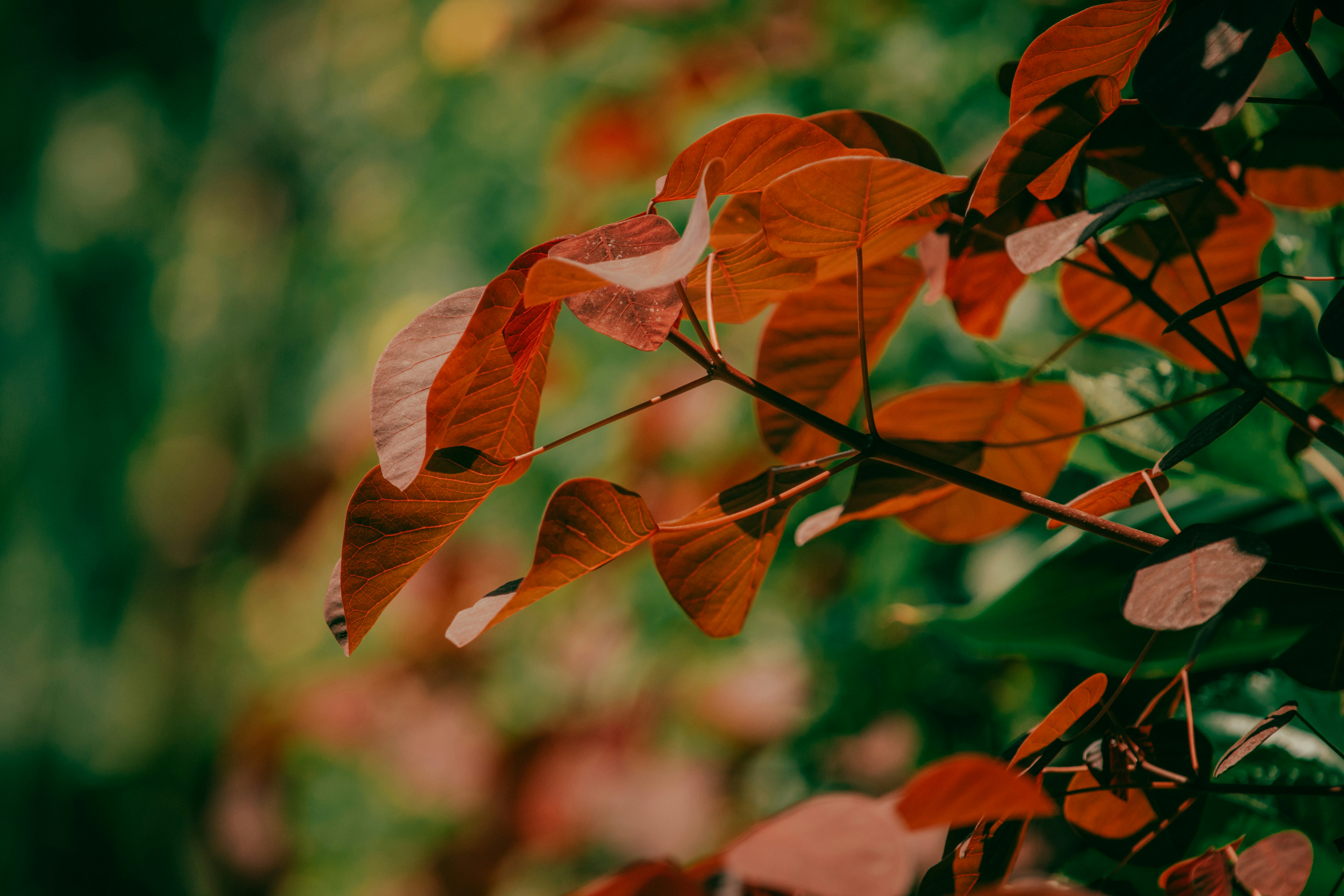 Photo by utunzajiwamazingira