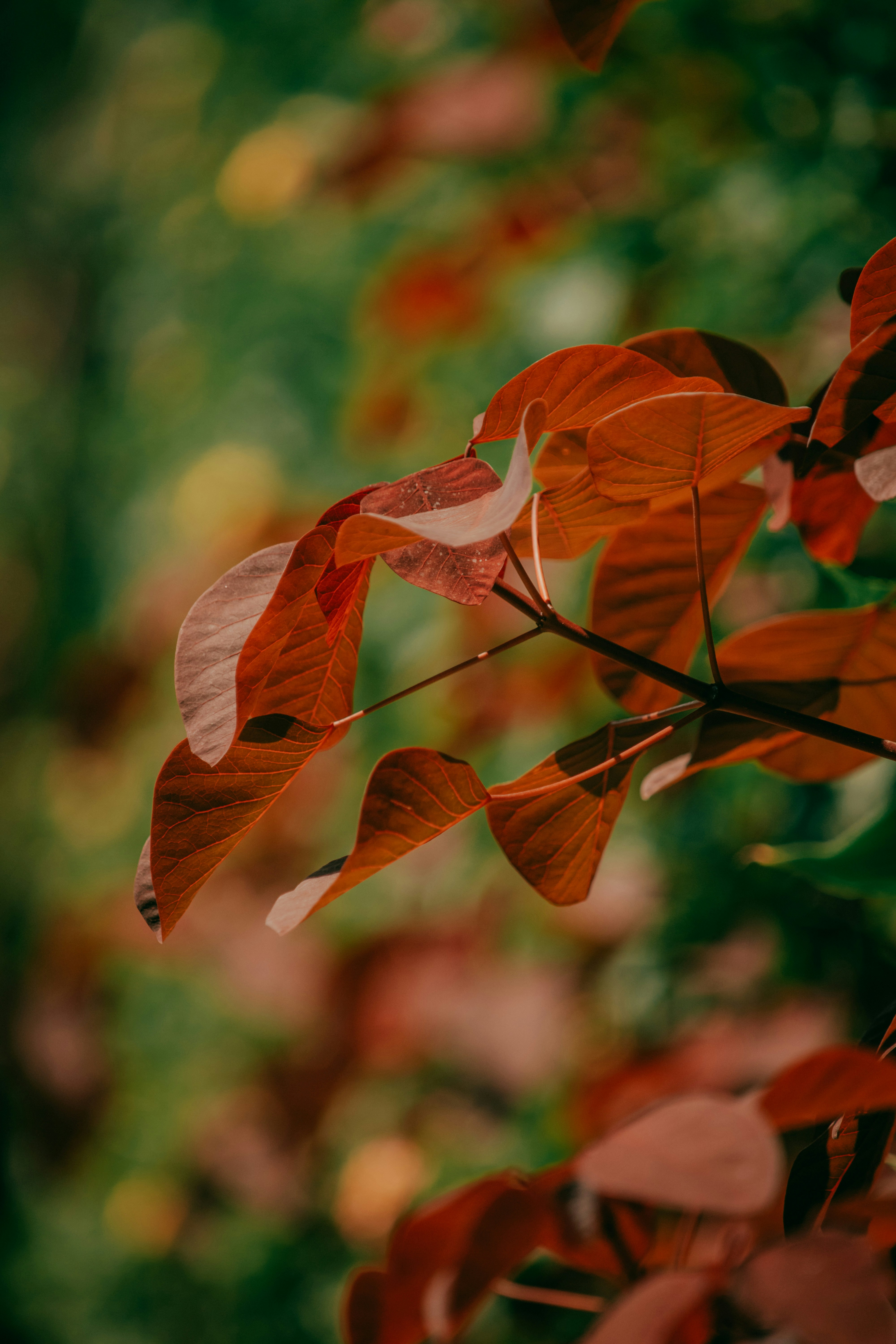 Photo by utunzajiwamazingira