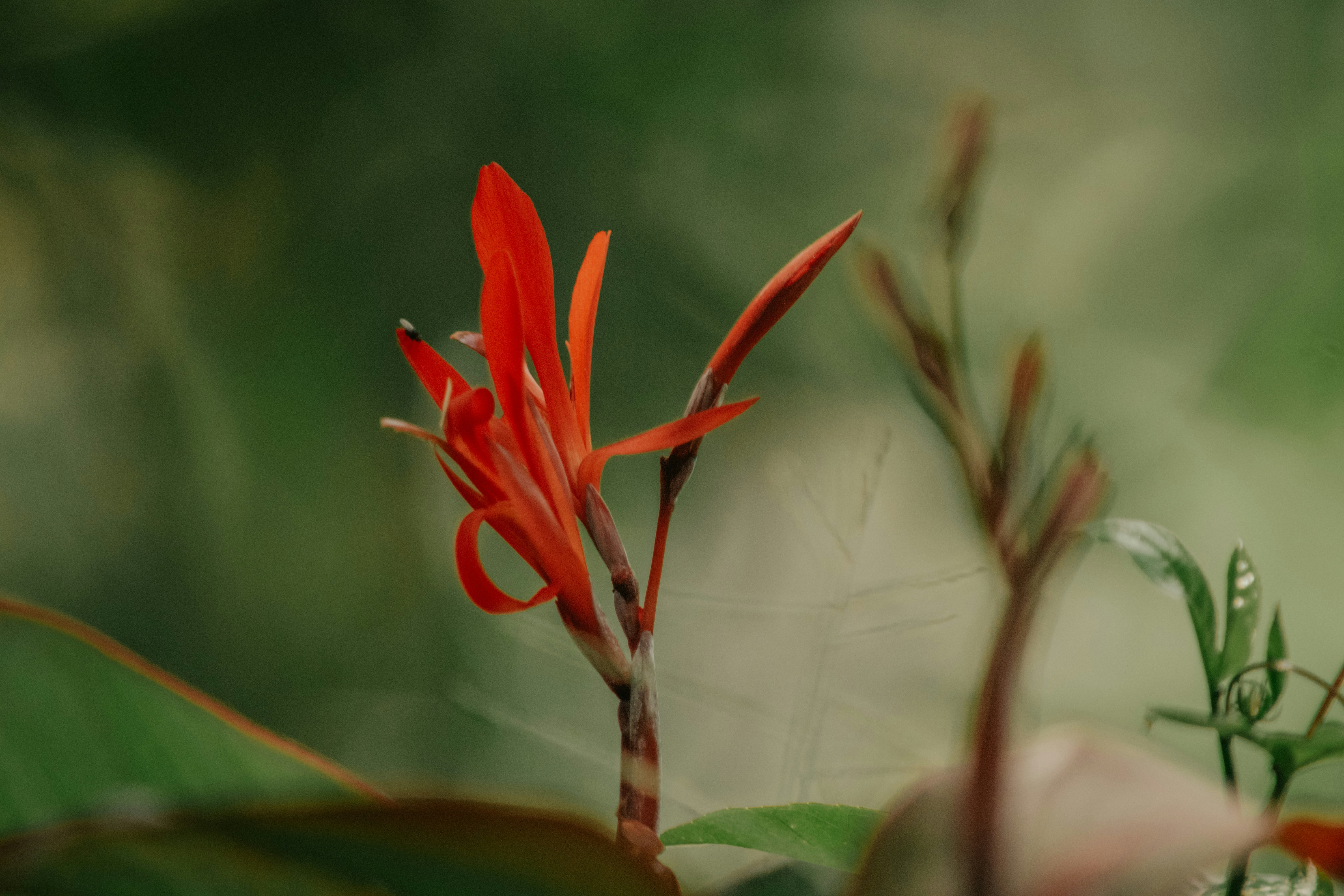 Photo by utunzajiwamazingira