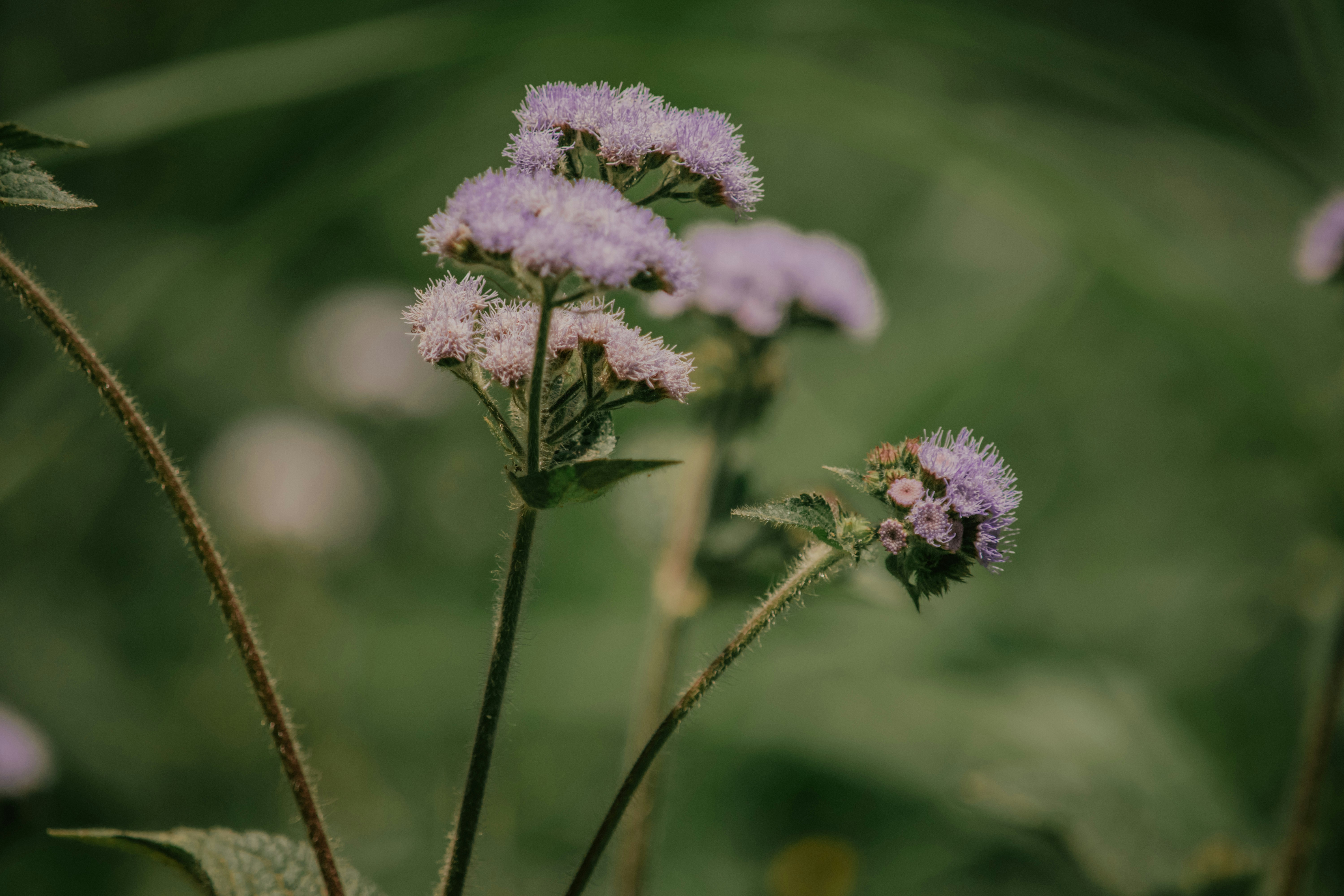 Photo by utunzajiwamazingira