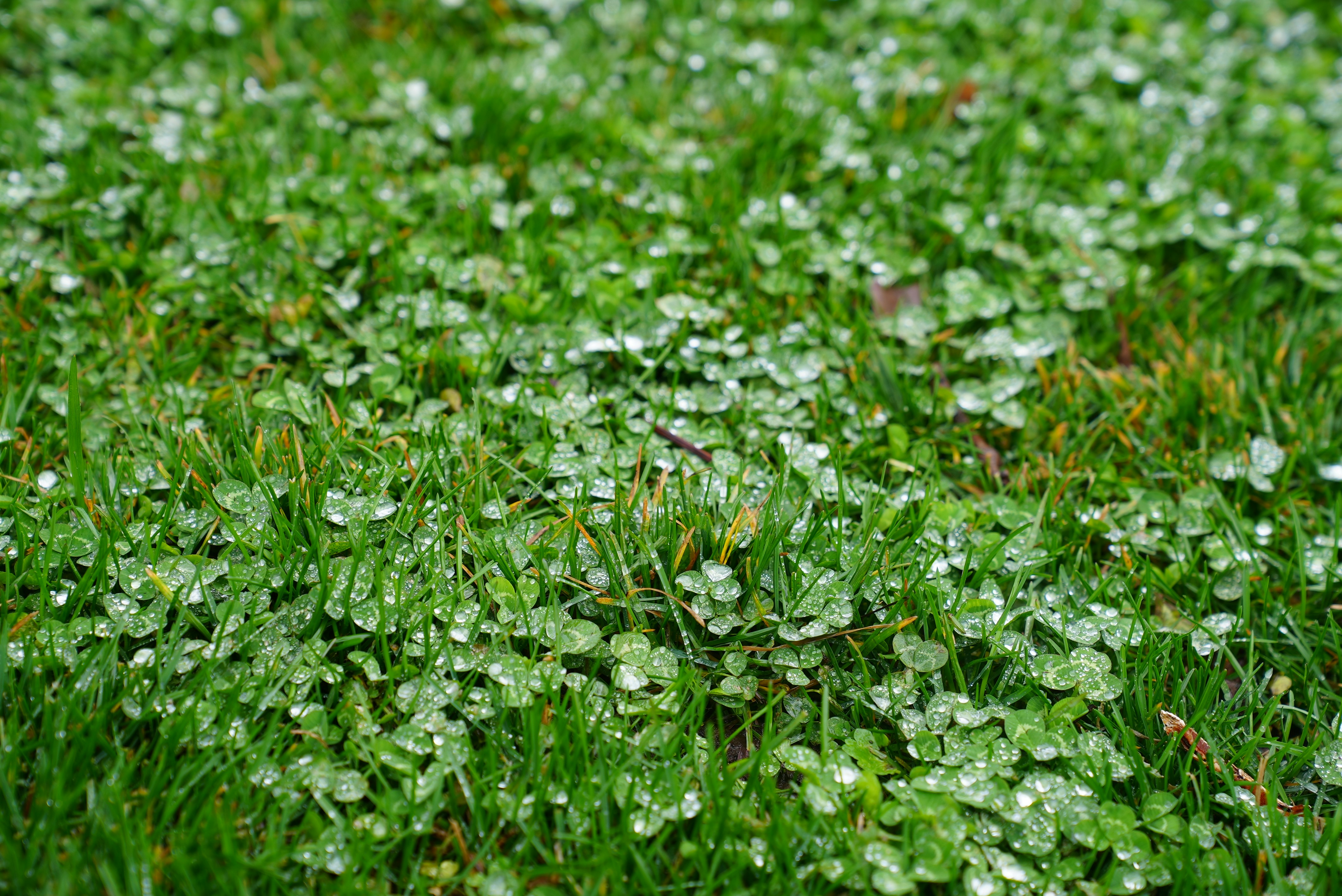 Photo by rafieeartist