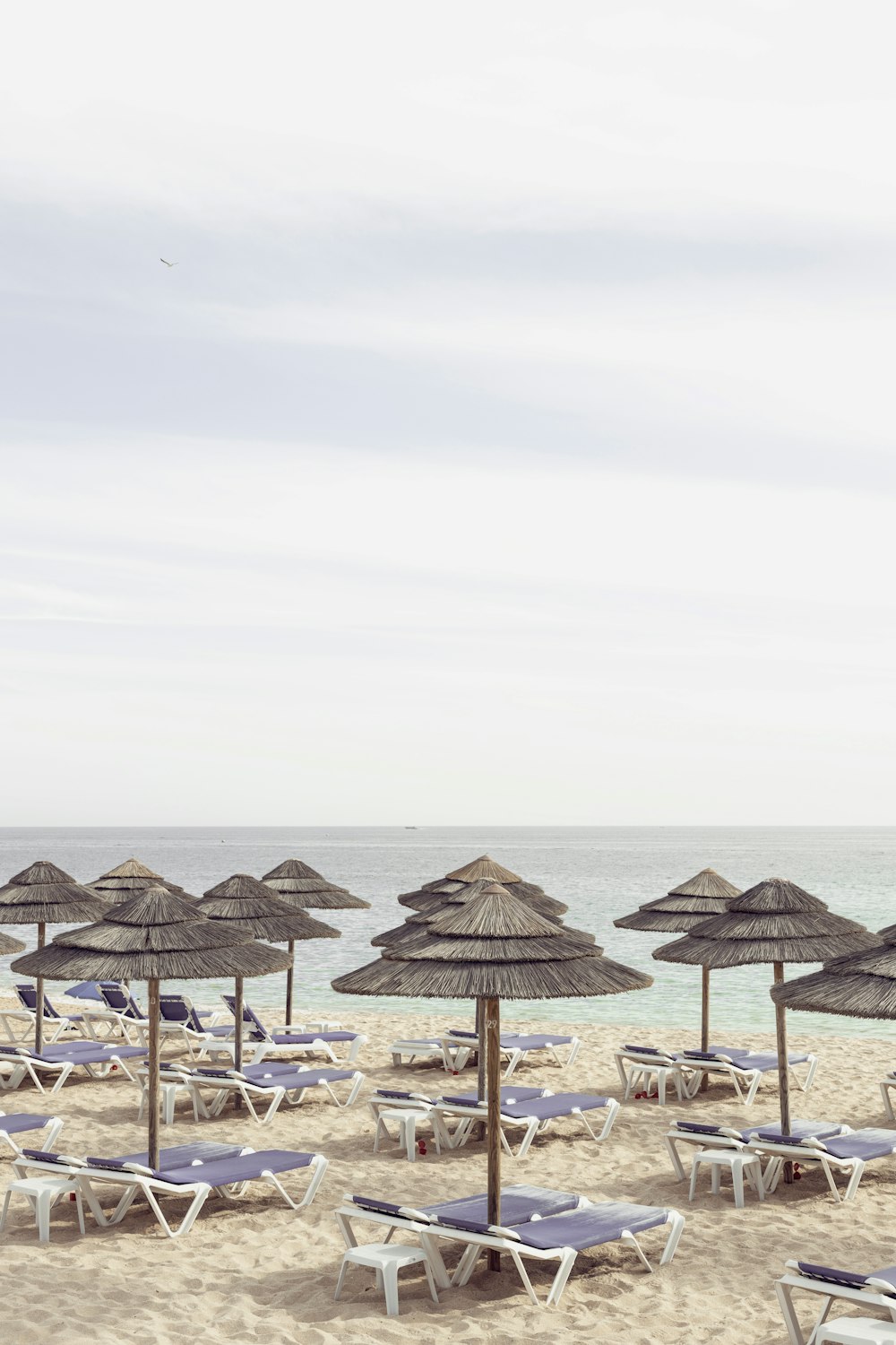 a bunch of lawn chairs and umbrellas on a beach