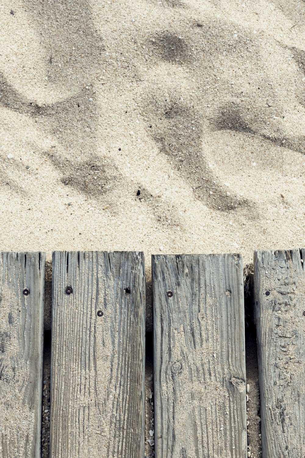 a bird is standing on a wooden plank in the sand