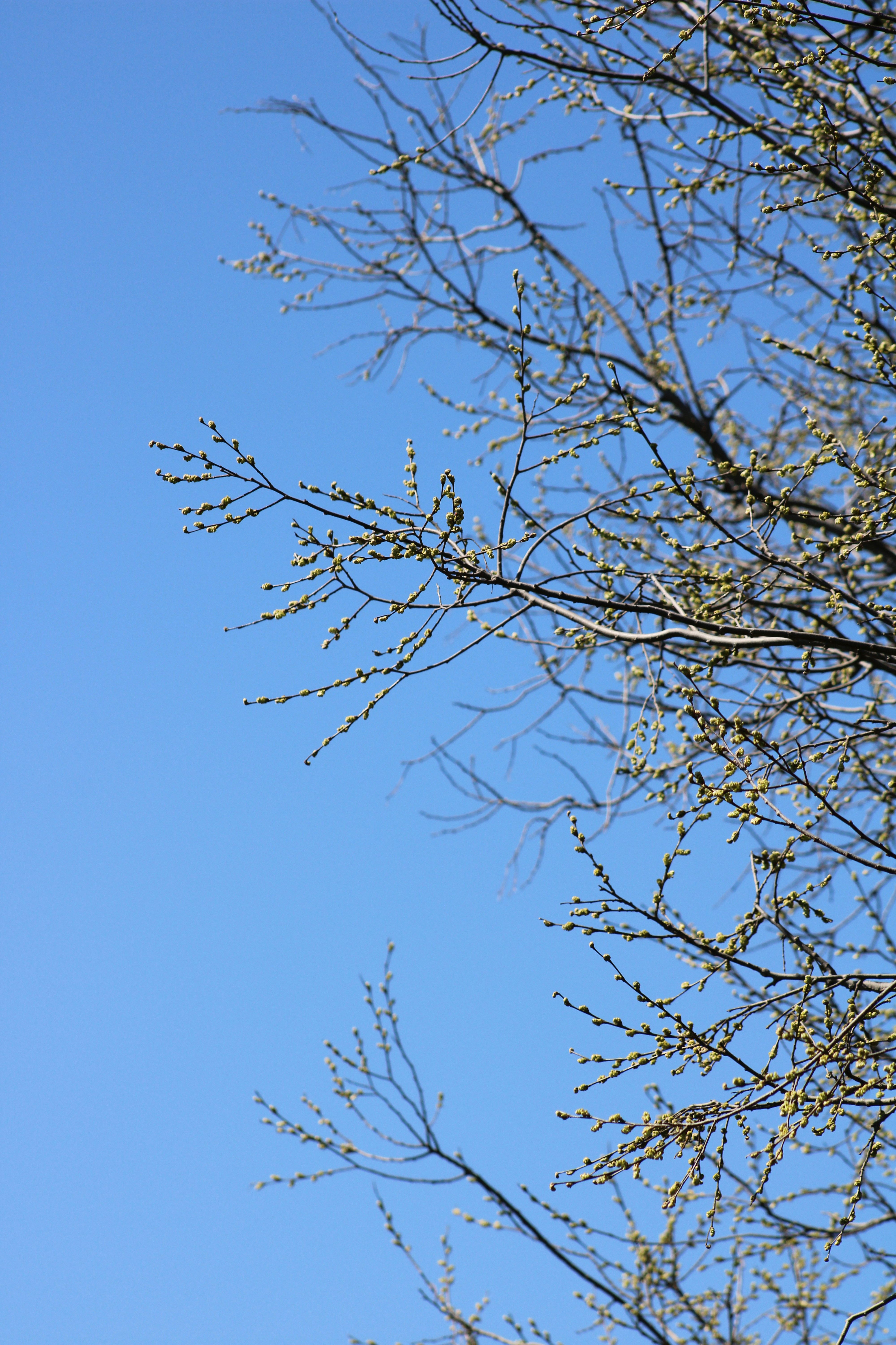 Photo by corinn_suess10