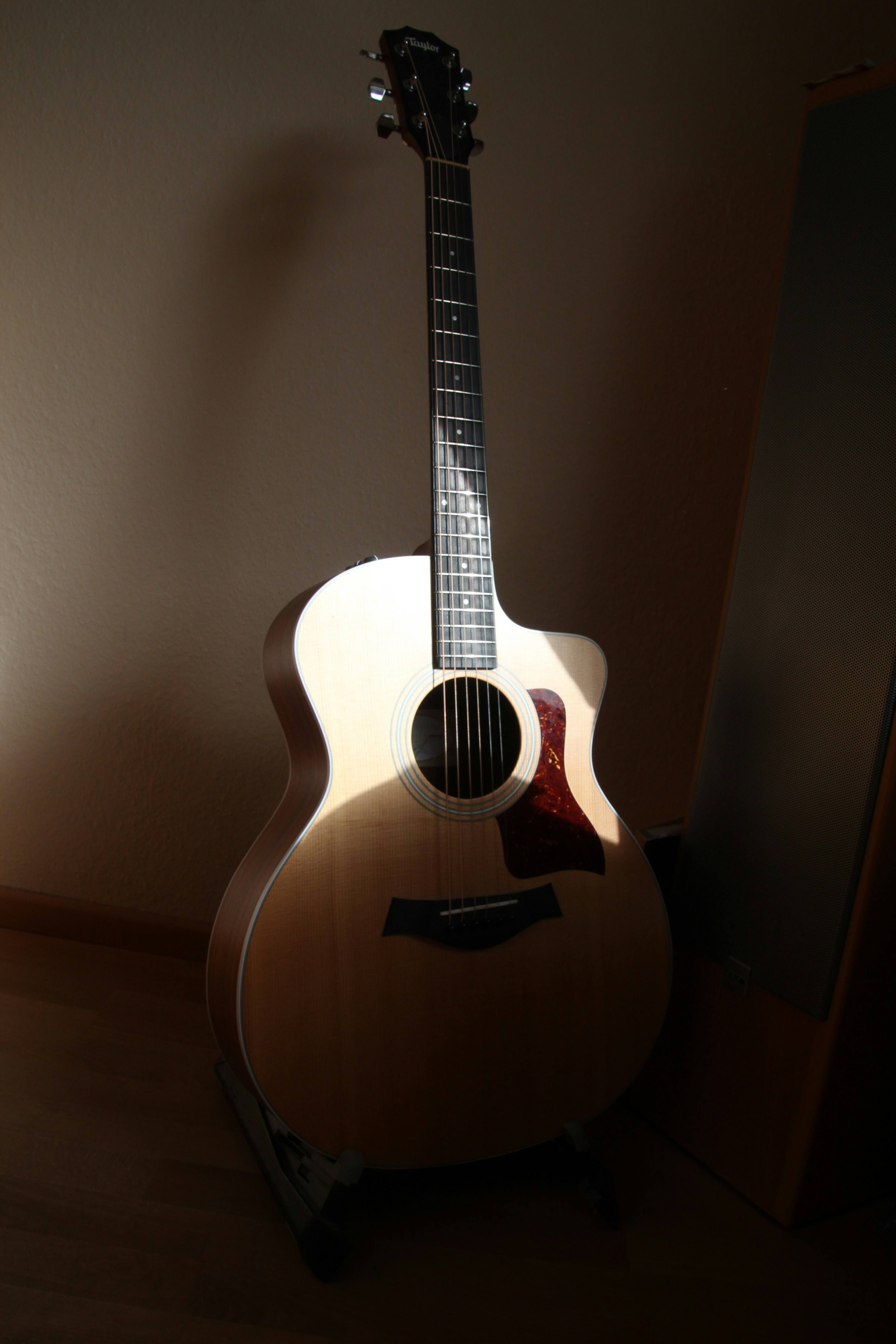 Dream Acoustic Guitar