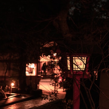 A quiet nighttime scene with gentle light spilling from a single lantern onto fallen leaves.