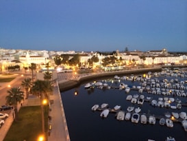 A coastal town at dusk with a marina filled with numerous small boats docked in the calm water. Illuminated streets and buildings line the waterfront, creating a warm glow against the deepening blue of the evening sky. Palm trees are visible along the promenade, adding to the serene and picturesque ambiance.