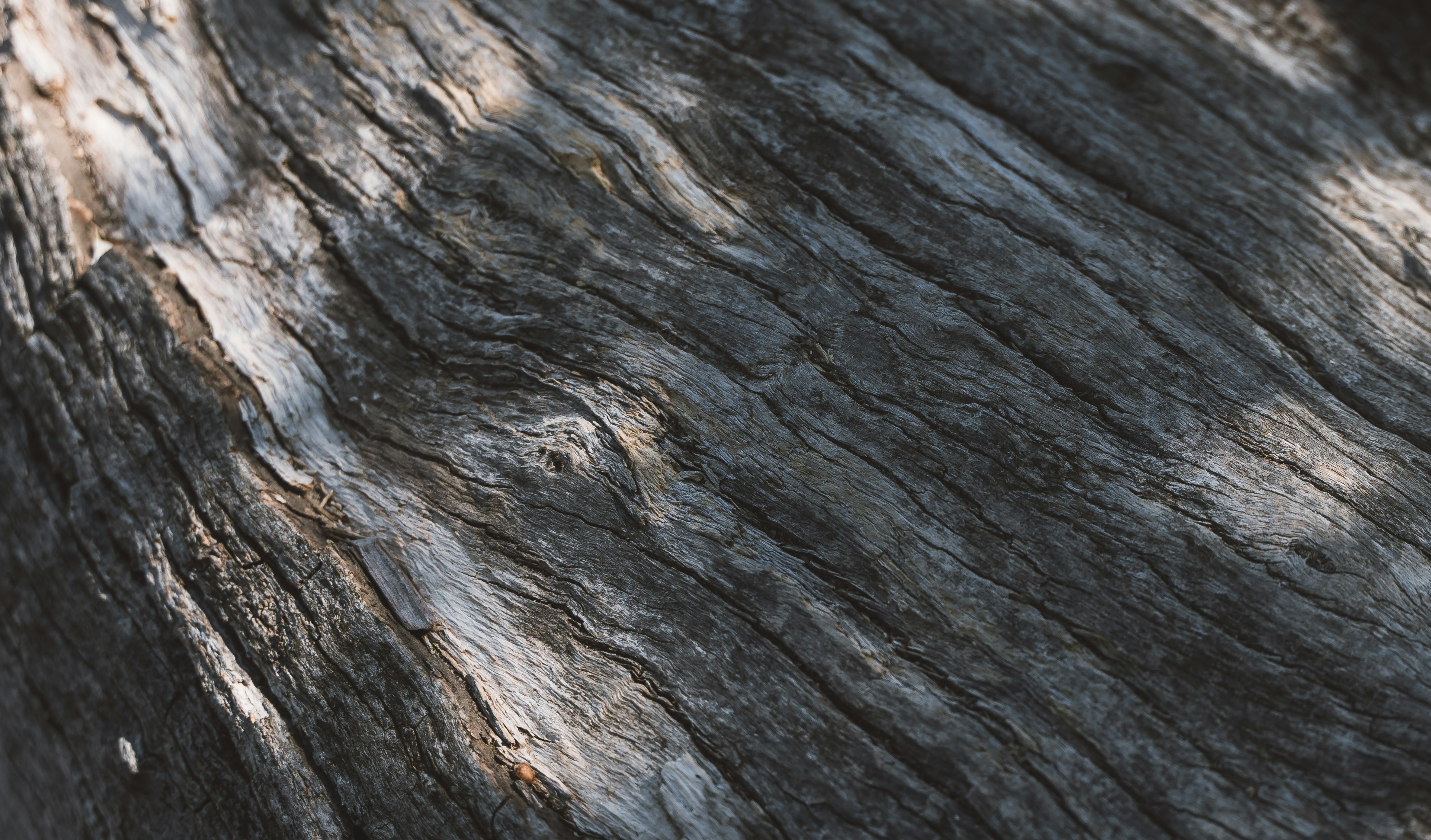 Photo by superxcalvin