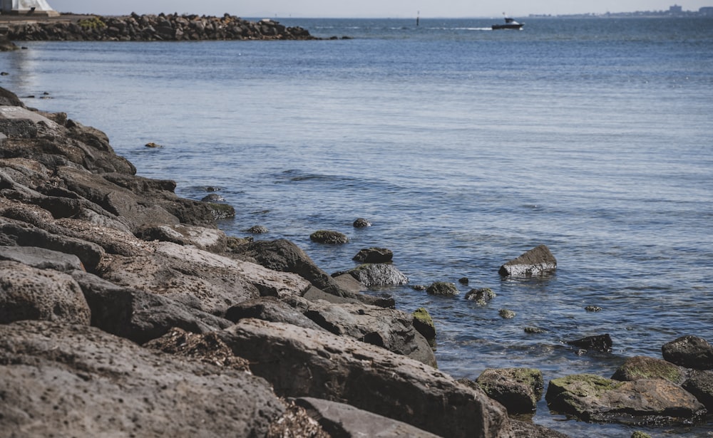 a large body of water next to a rocky shore