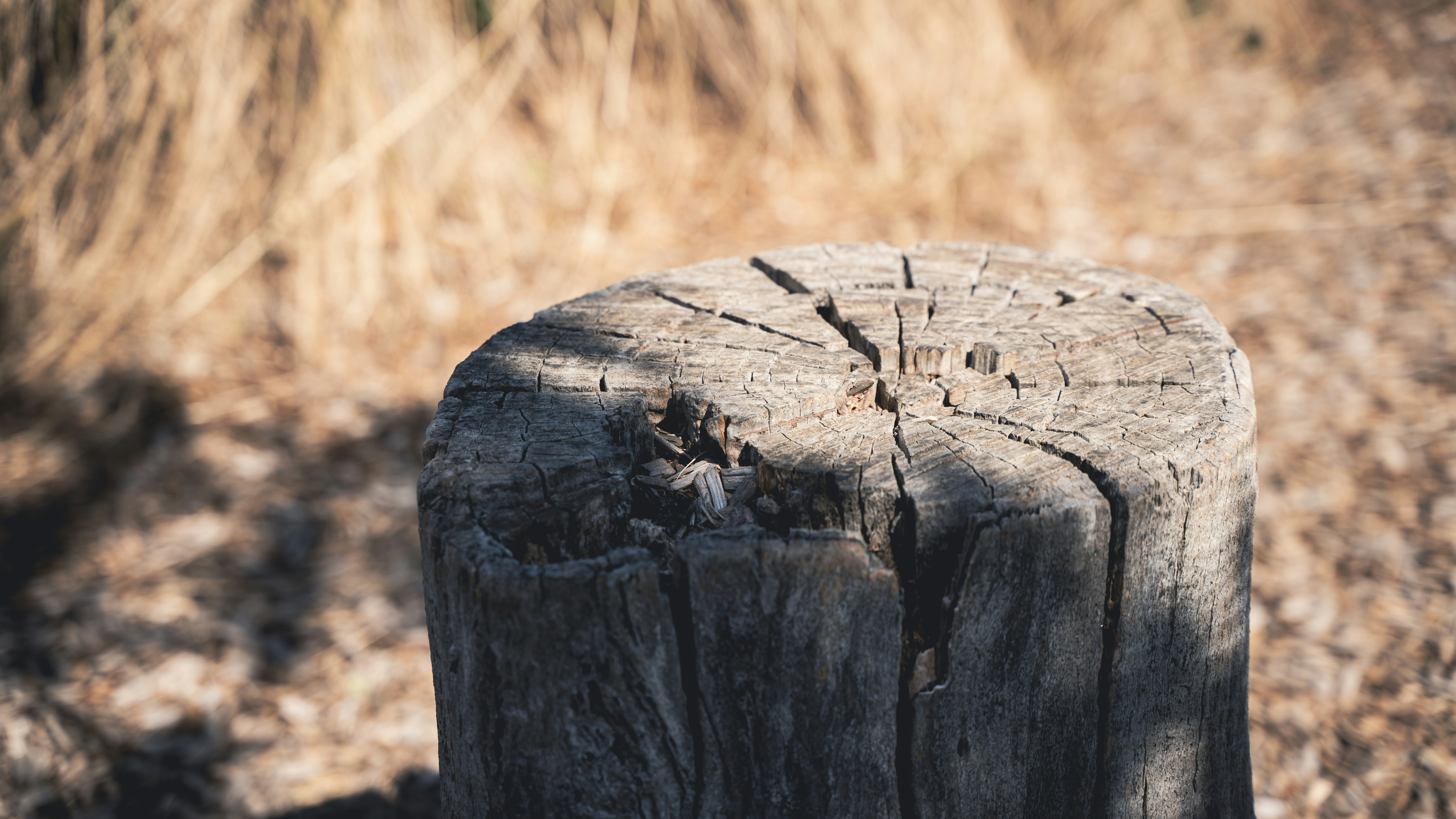 Photo by superxcalvin