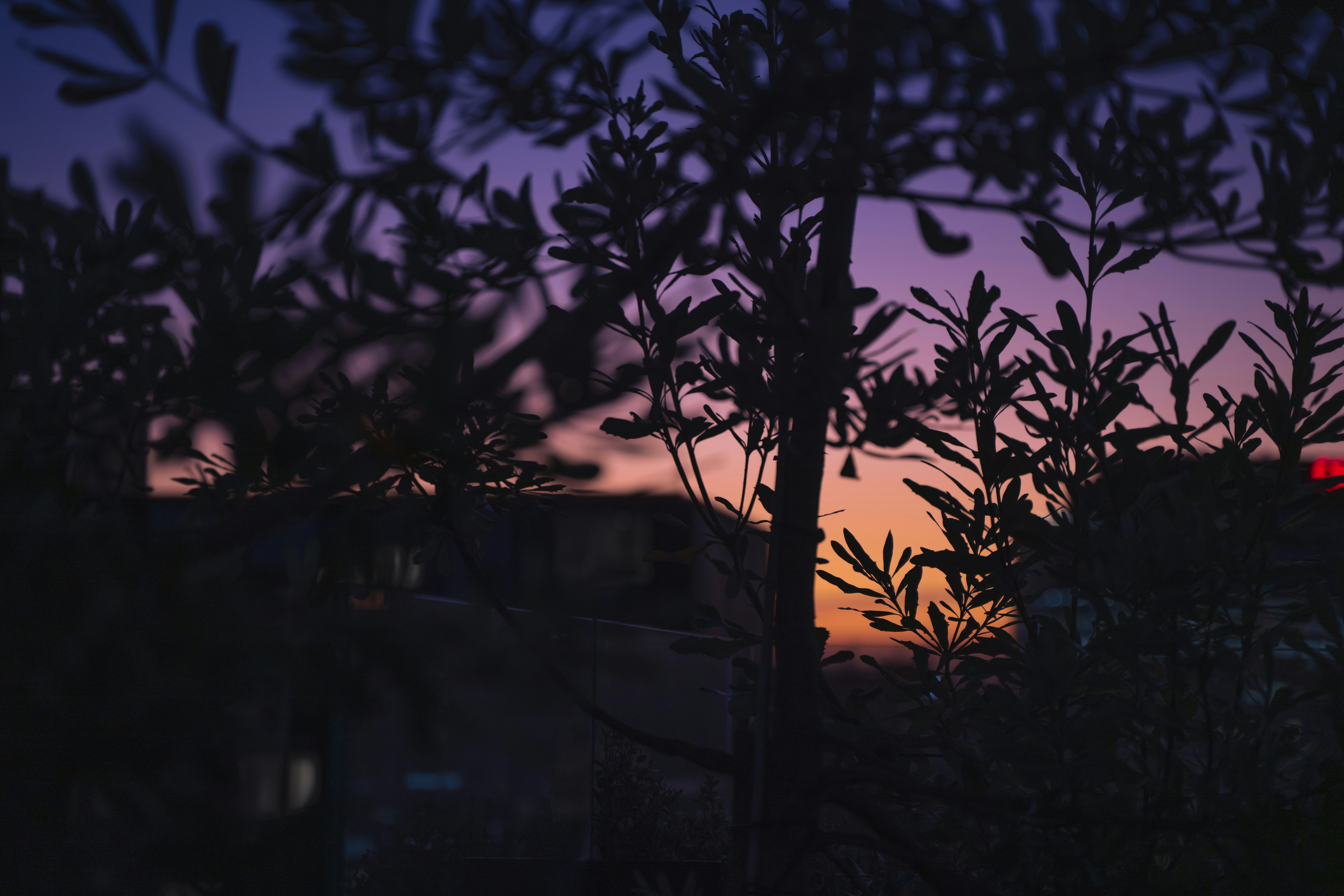 Photo by superxcalvin