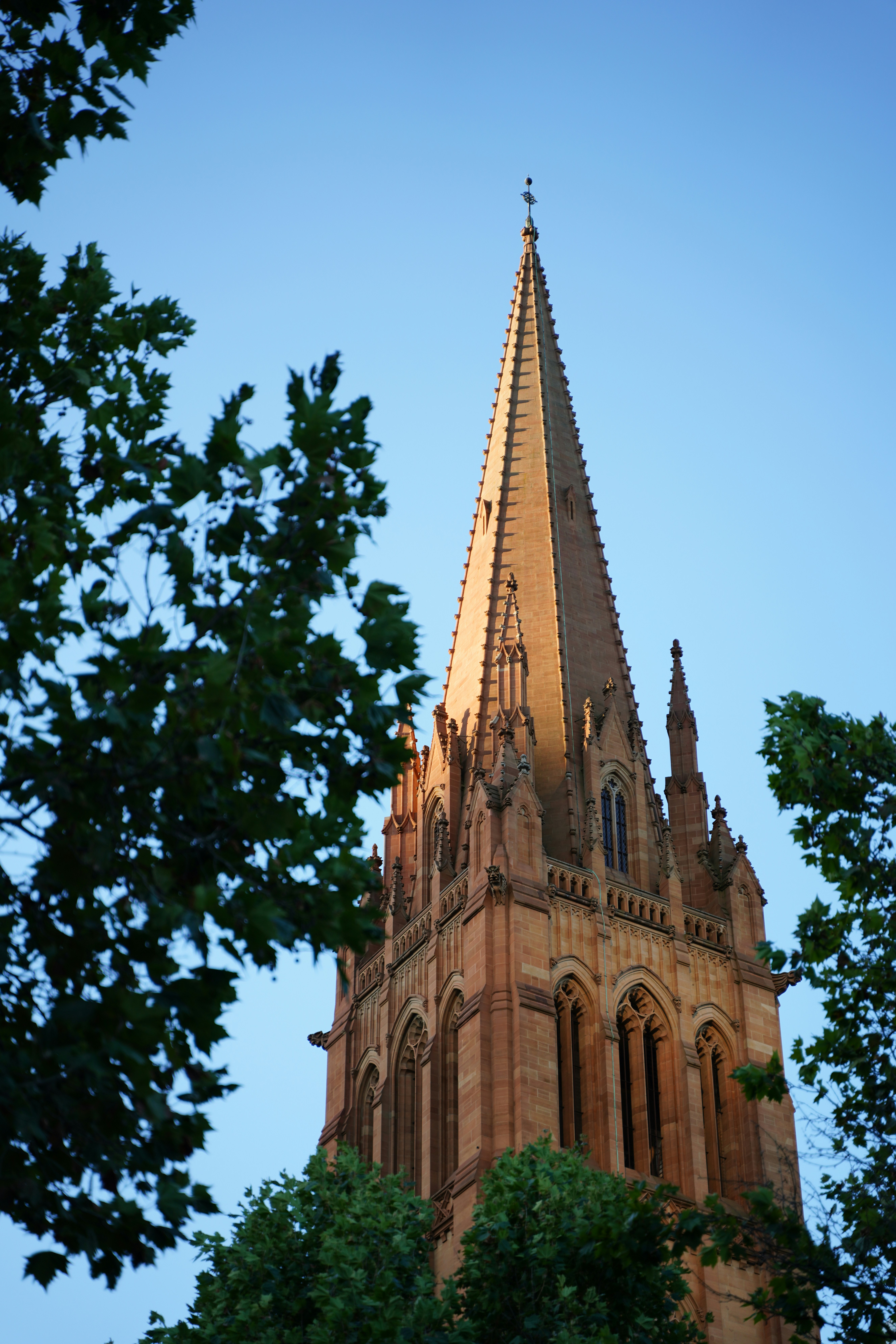 Photo by superxcalvin