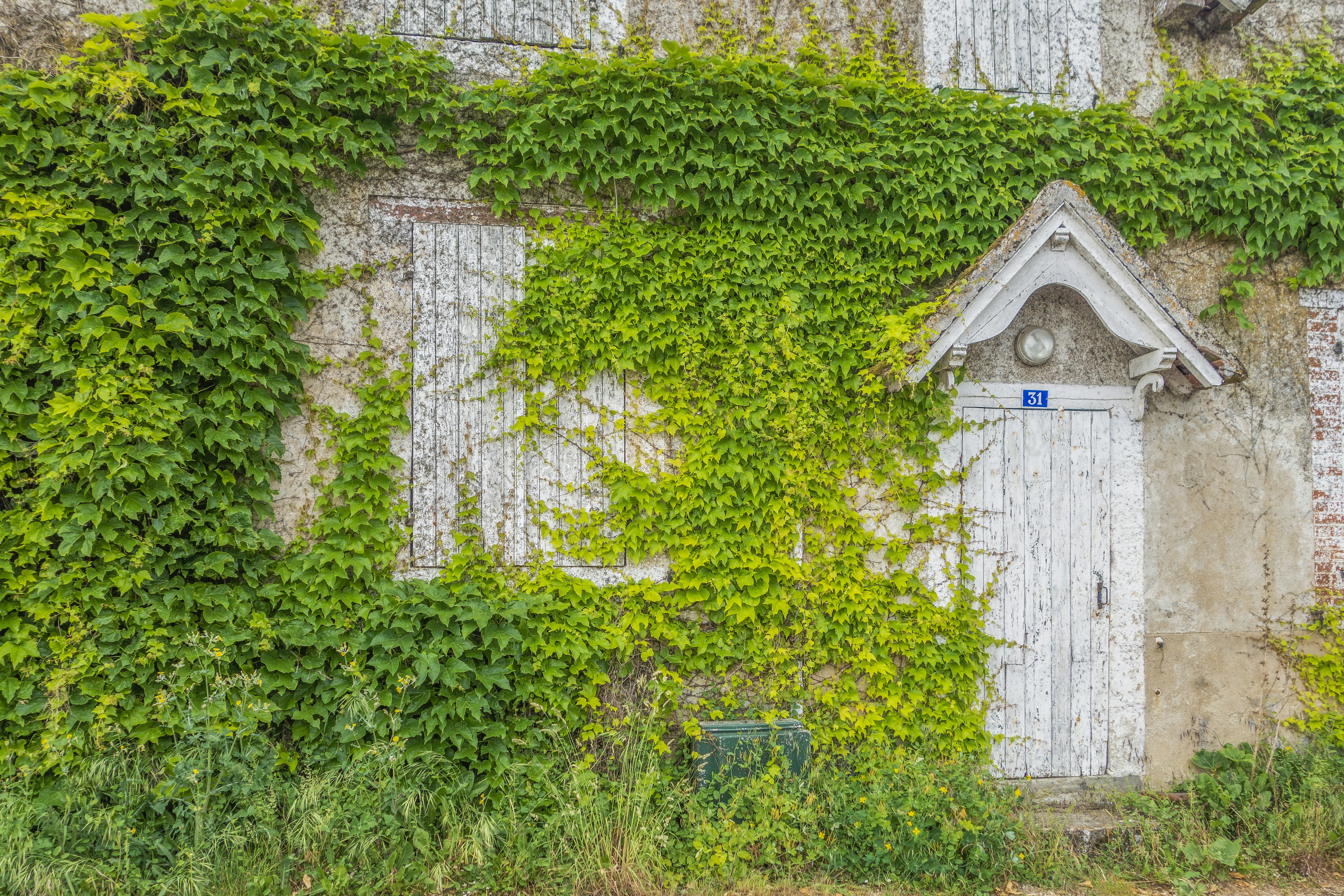 an old building with vines growing over it