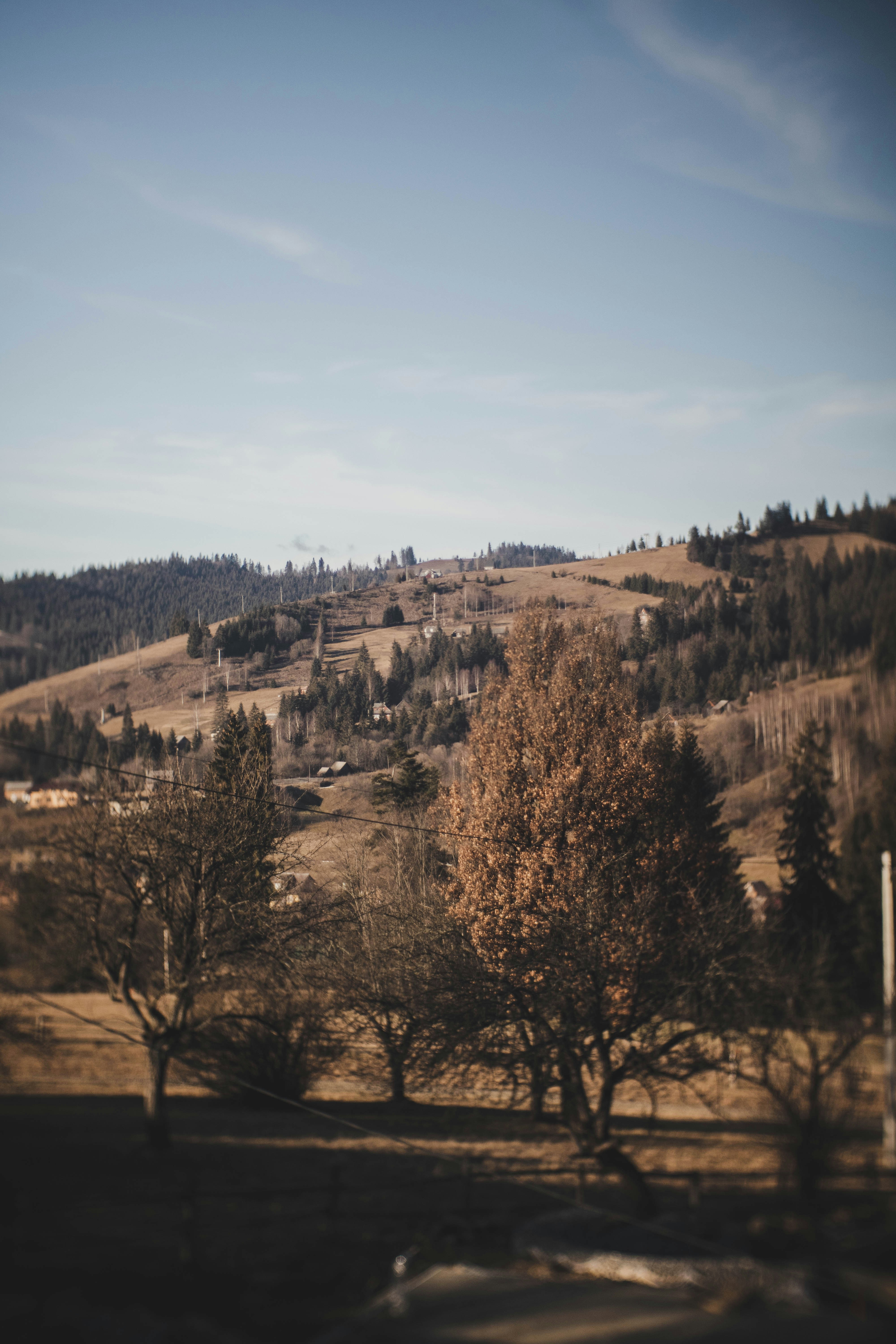 Photo by taraschuiko