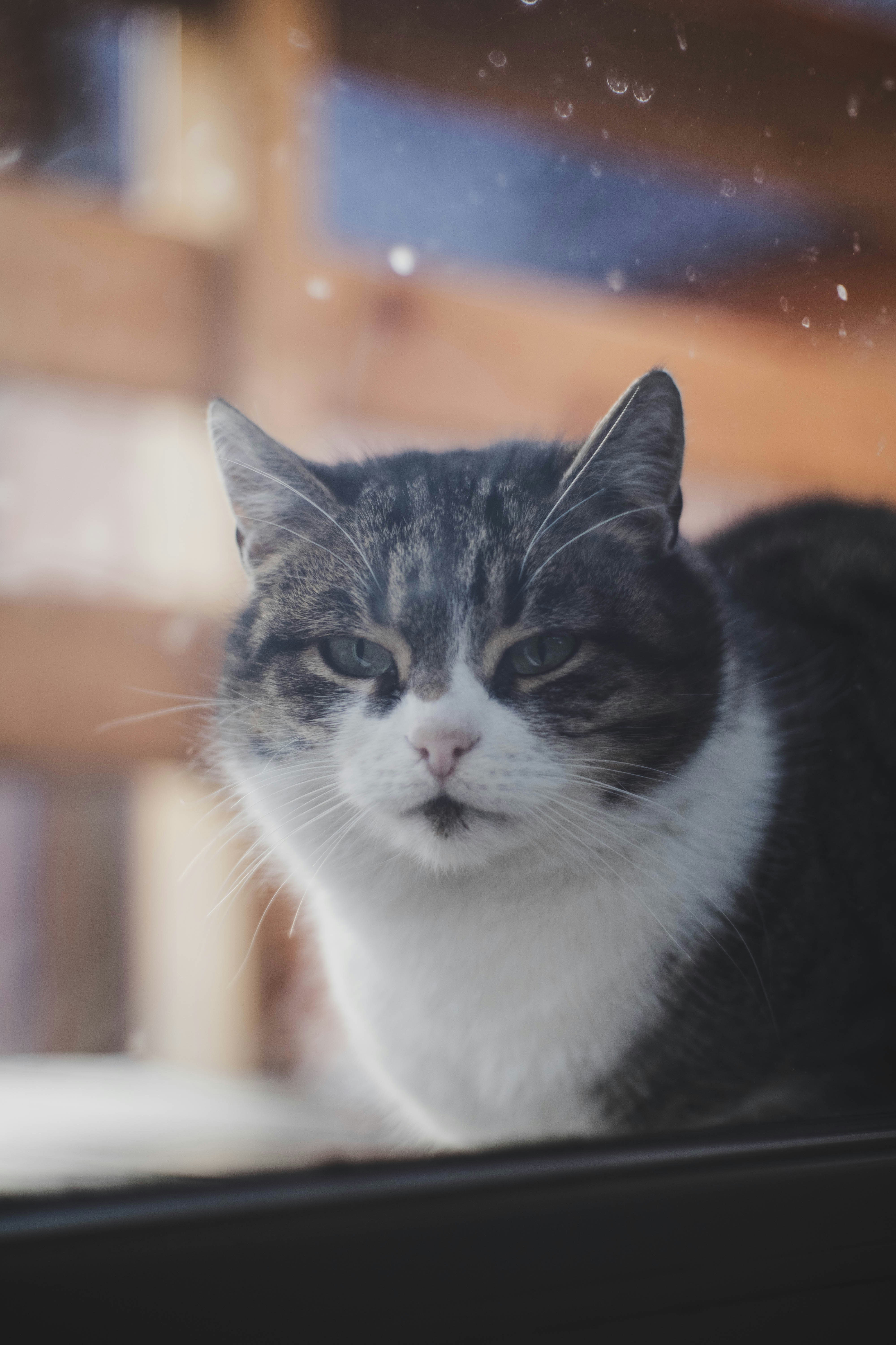 Photo by taraschuiko