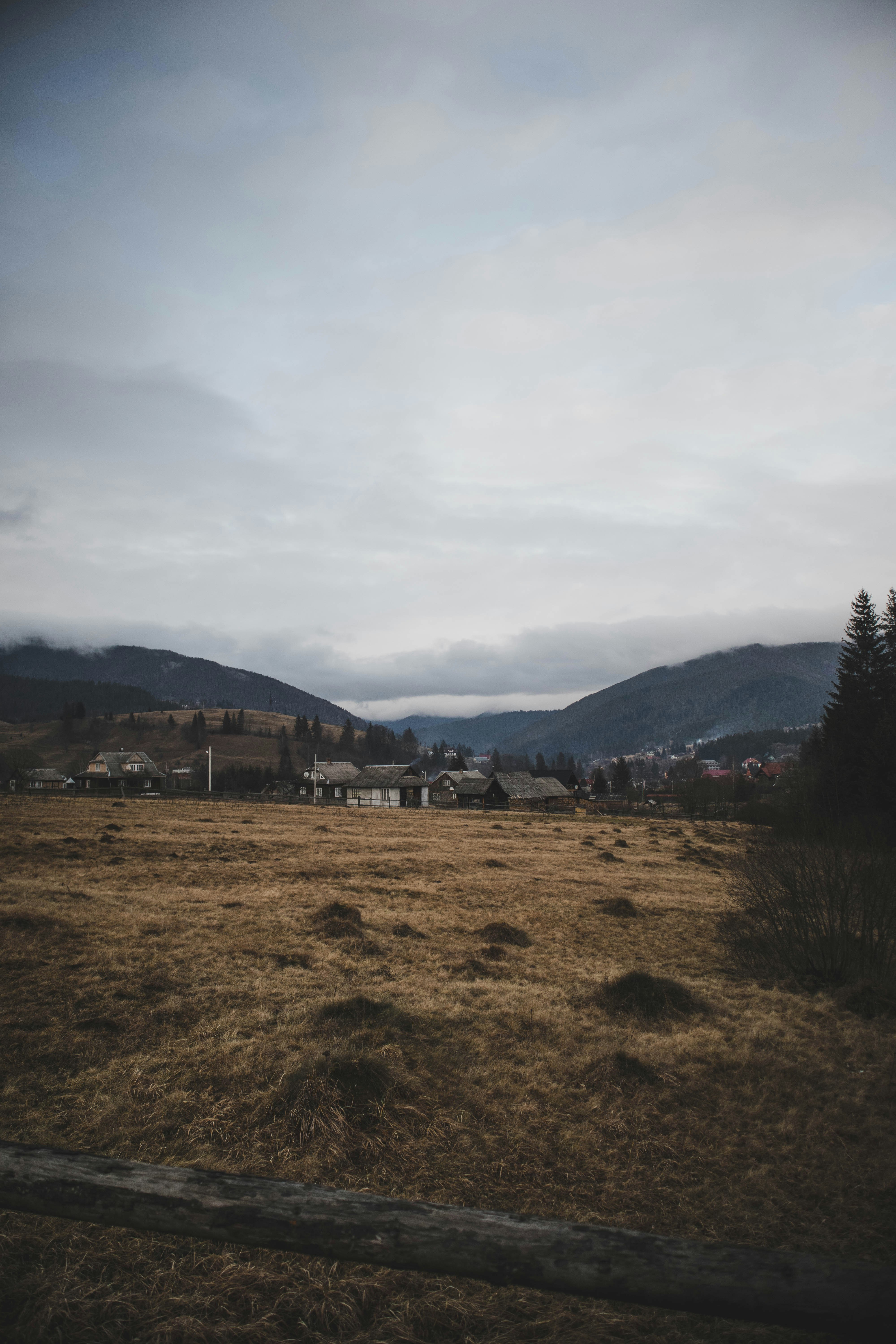 Photo by taraschuiko