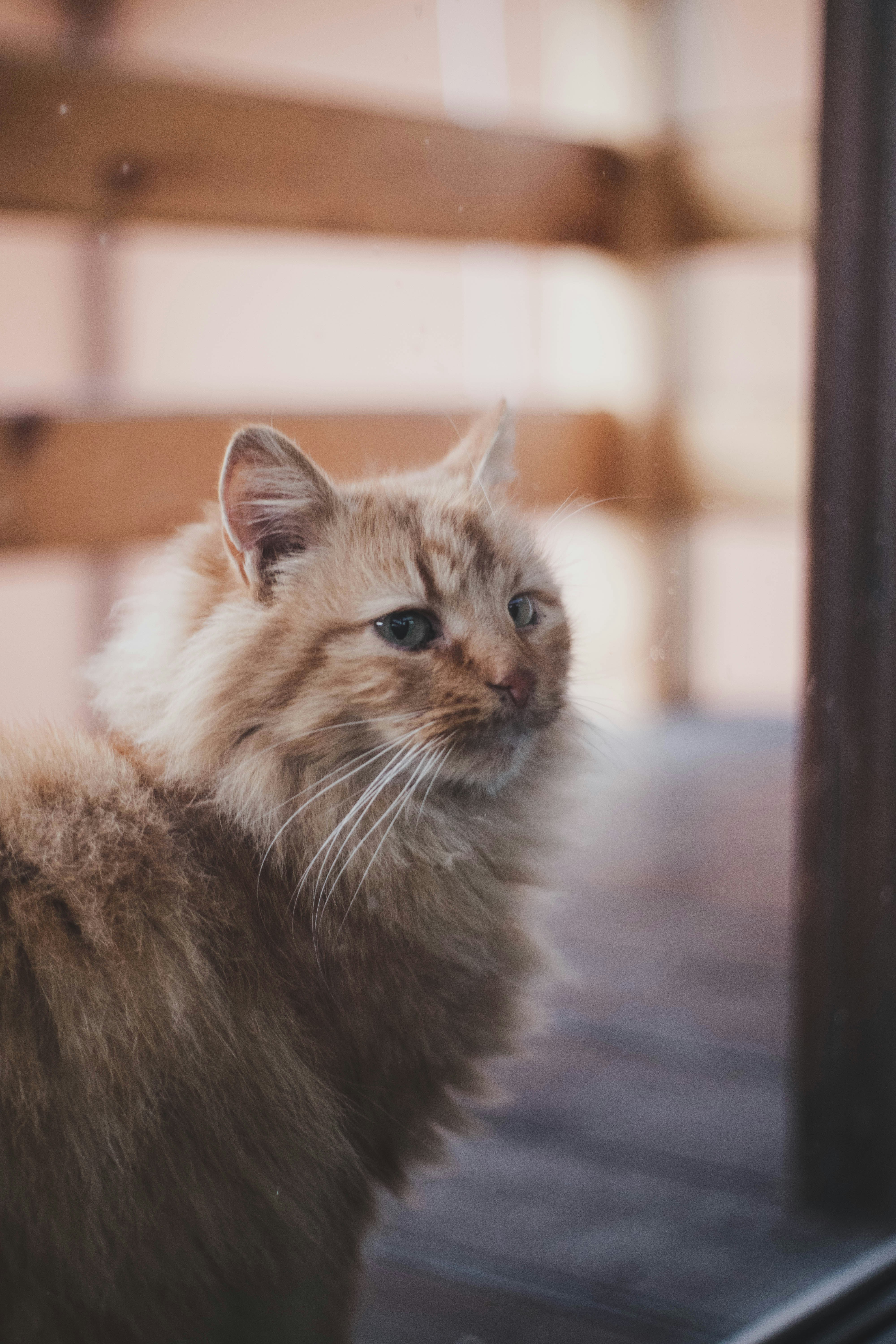 Photo by taraschuiko