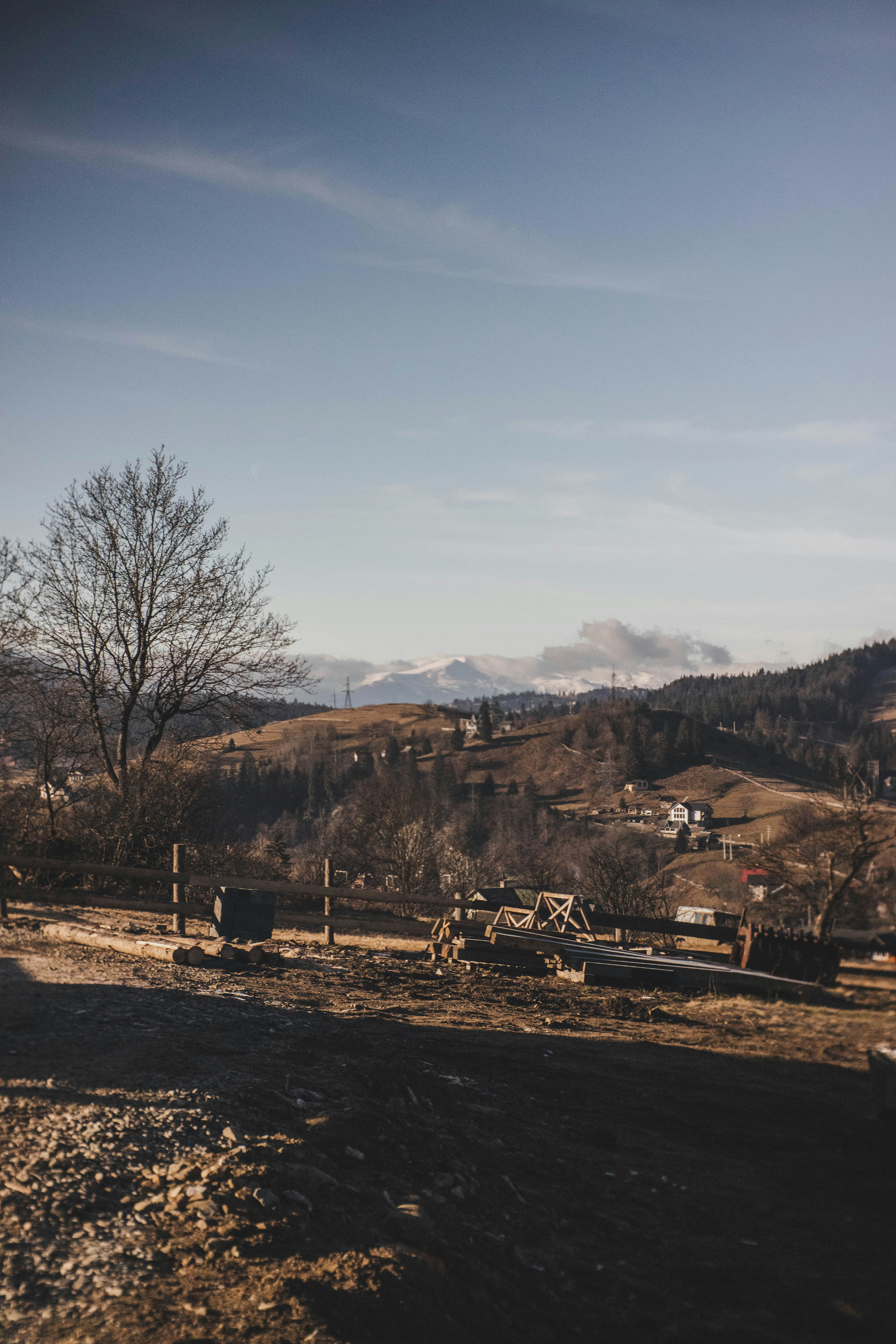 Photo by taraschuiko