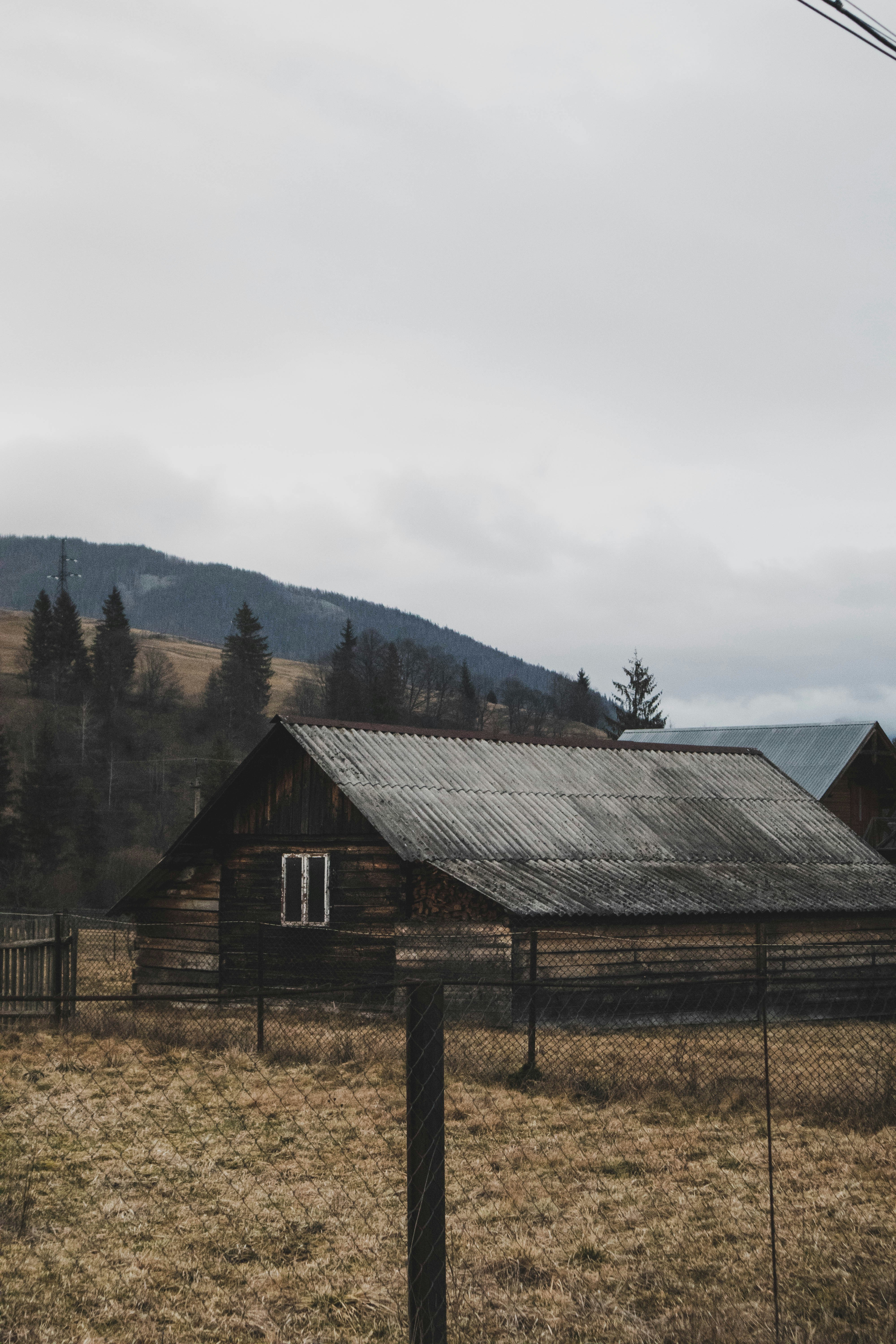 Photo by taraschuiko