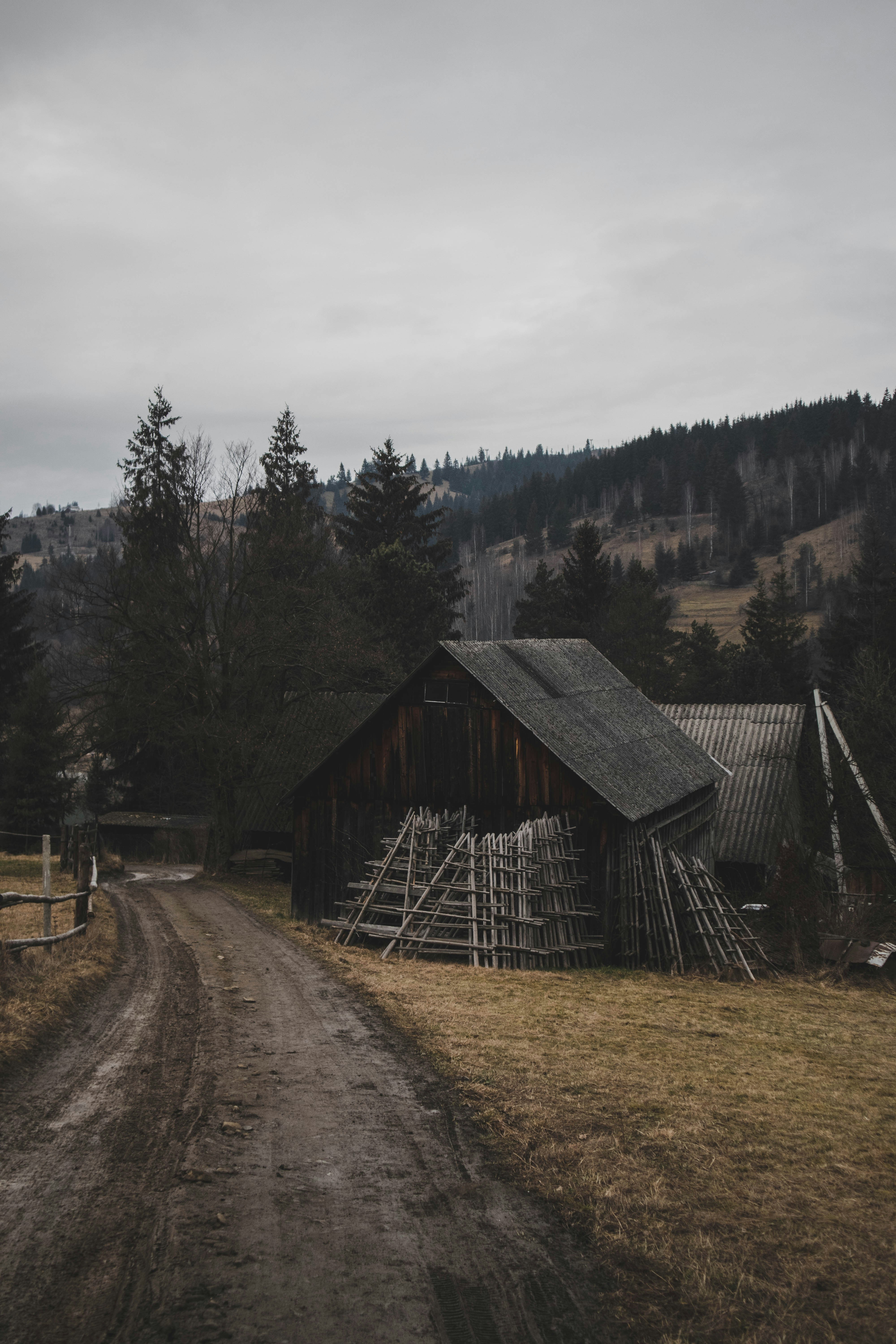 Photo by taraschuiko