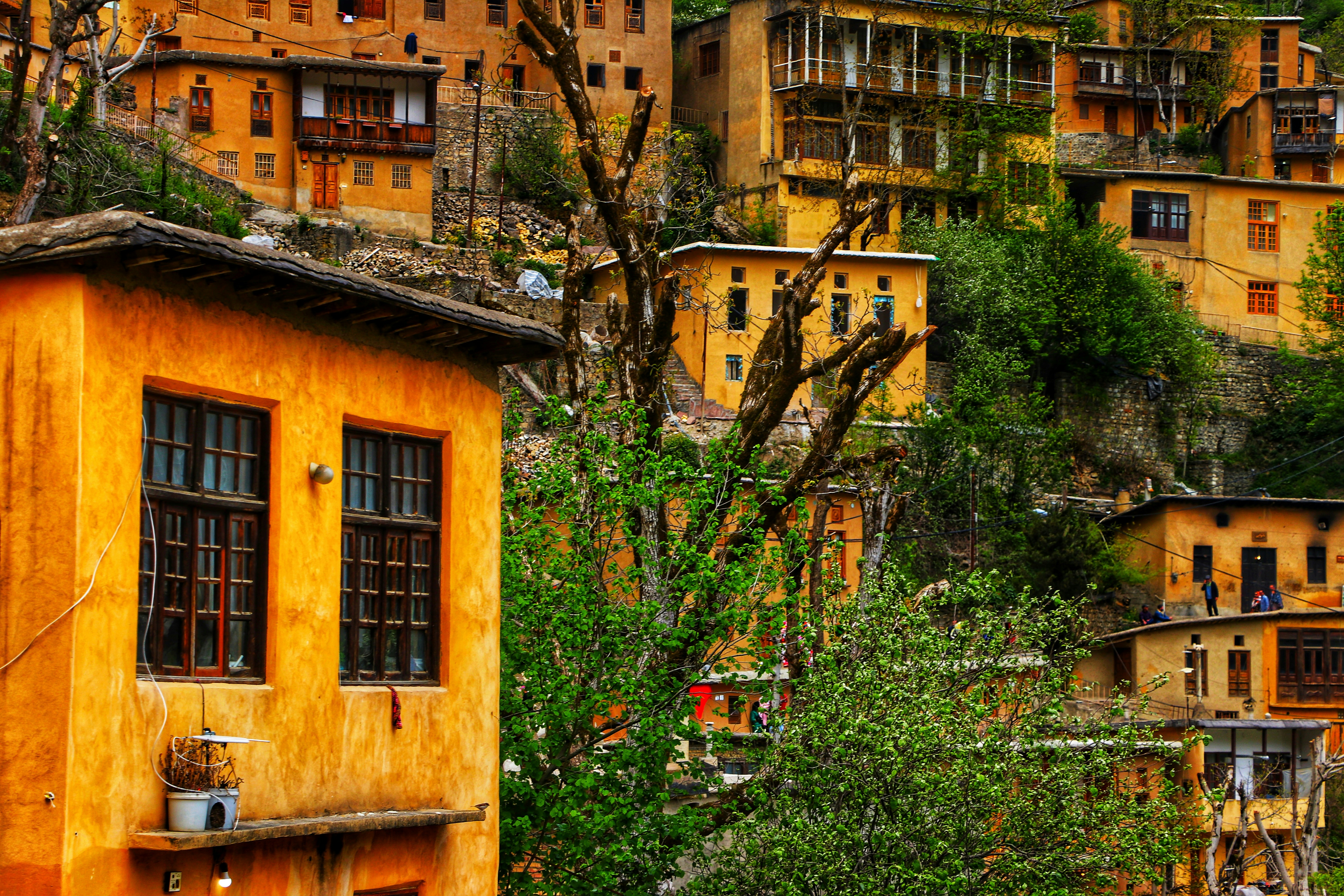 Photo by zeinabhashemi