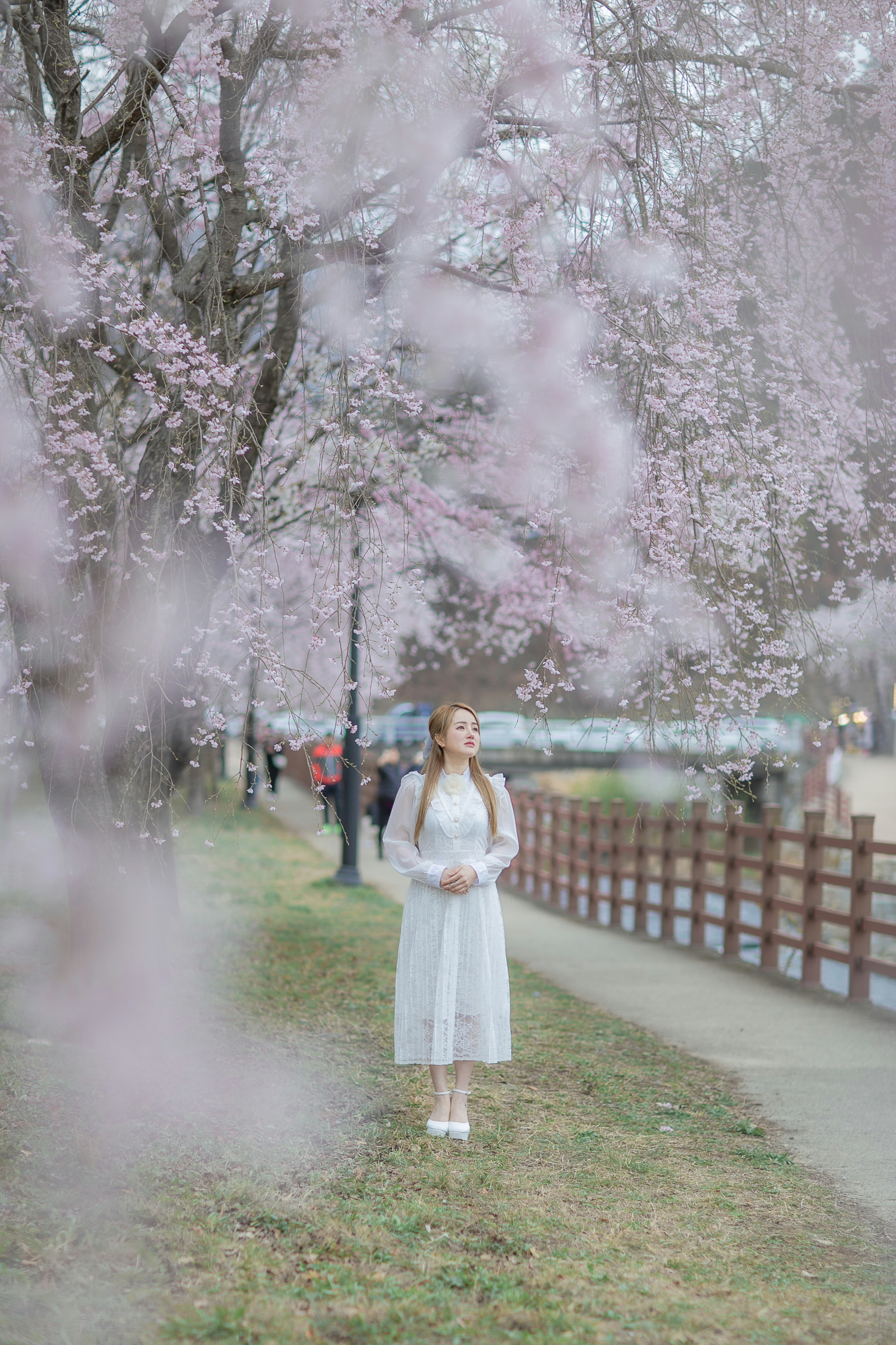 Photo by paipai90