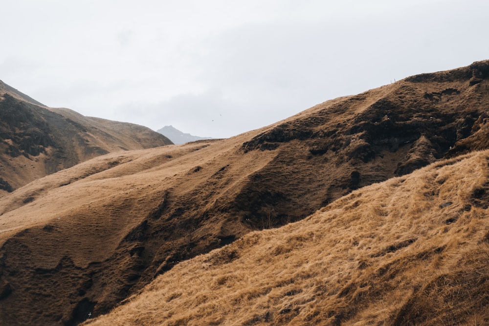 a brown mountain with a bird flying over it