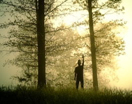 Shadowsylph posing in a moonlit glade, surrounded by mist and twisted branches.