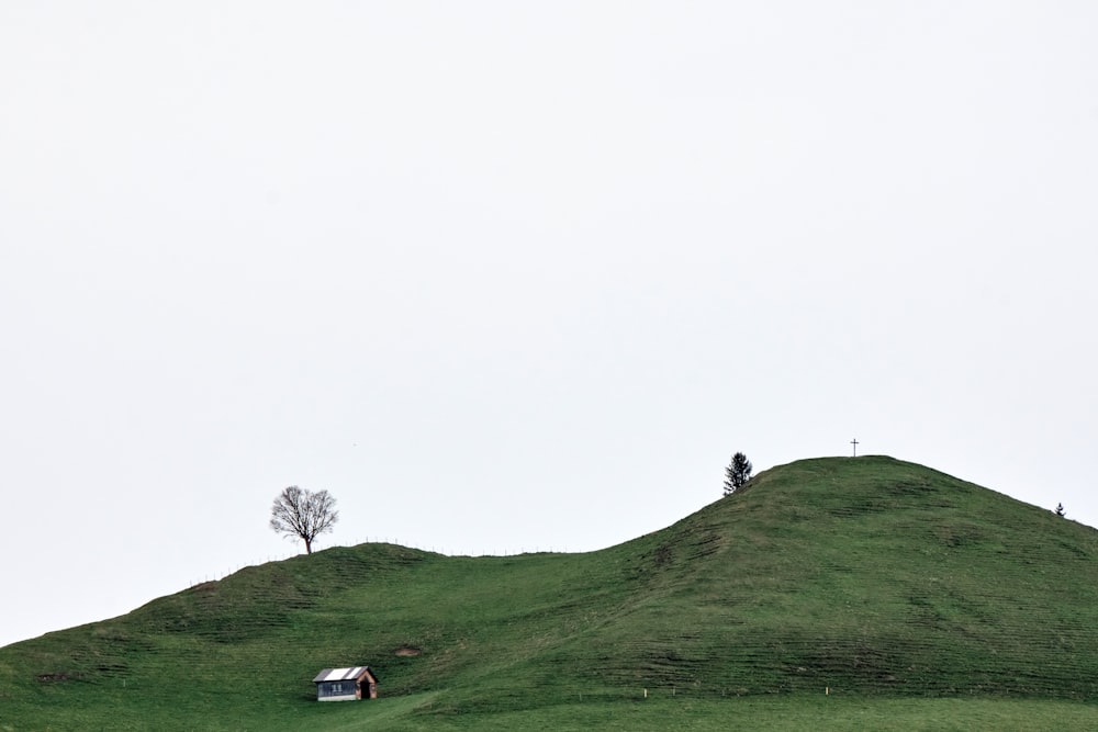 a car is parked on a grassy hill