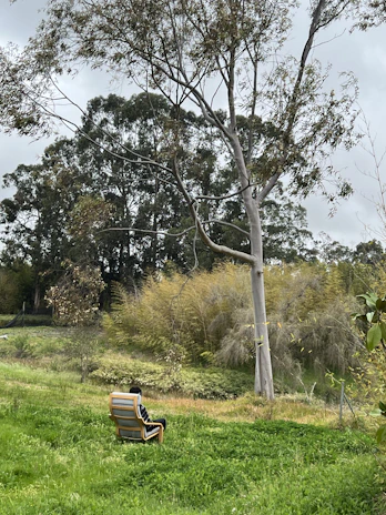 A serene wooden chair placed outdoors, inviting a moment of reflection and openness.