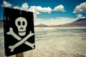 A skull and crossbones sign is prominently displayed against a vast, barren landscape with a dry, cracked ground. The sky is expansive with scattered fluffy clouds, and distant mountains can be seen in the background.