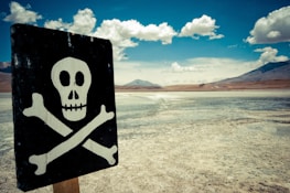 A skull and crossbones sign is prominently displayed against a vast, barren landscape with a dry, cracked ground. The sky is expansive with scattered fluffy clouds, and distant mountains can be seen in the background.