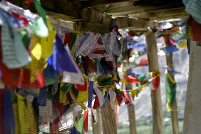 Traditional wooden houses with colorful prayer flags fluttering in the breeze at Kinnaur.