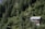 A small house with a metal roof is nestled among lush, densely packed trees on a forested hillside. The house has a balcony and is surrounded by vibrant greenery, with tall evergreen trees dominating the landscape.
