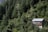 A small house with a metal roof is nestled among lush, densely packed trees on a forested hillside. The house has a balcony and is surrounded by vibrant greenery, with tall evergreen trees dominating the landscape.